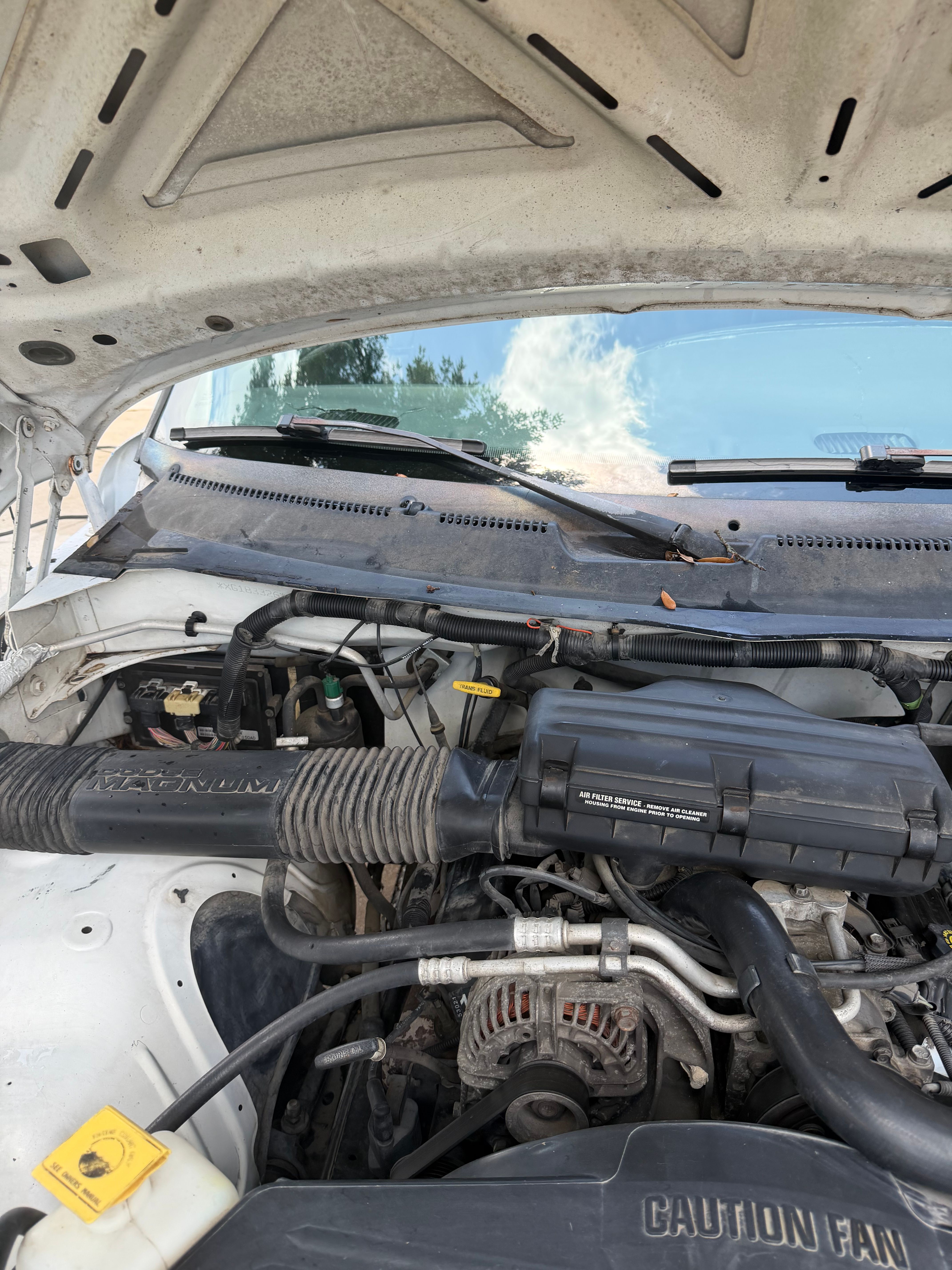 Used 1999 Dodge Ram 1500 Truck 2WD Quad Cab image 23