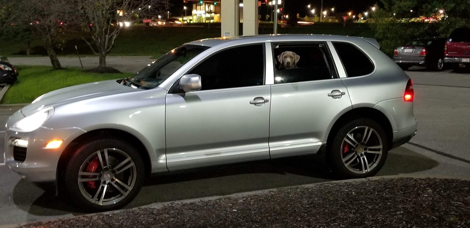 Used 2008 Porsche Cayenne Turbo AWD/4WD image 8