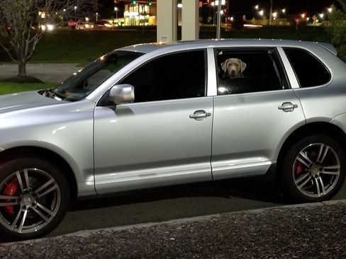 Used 2008 Porsche Cayenne Turbo AWD/4WD image 8