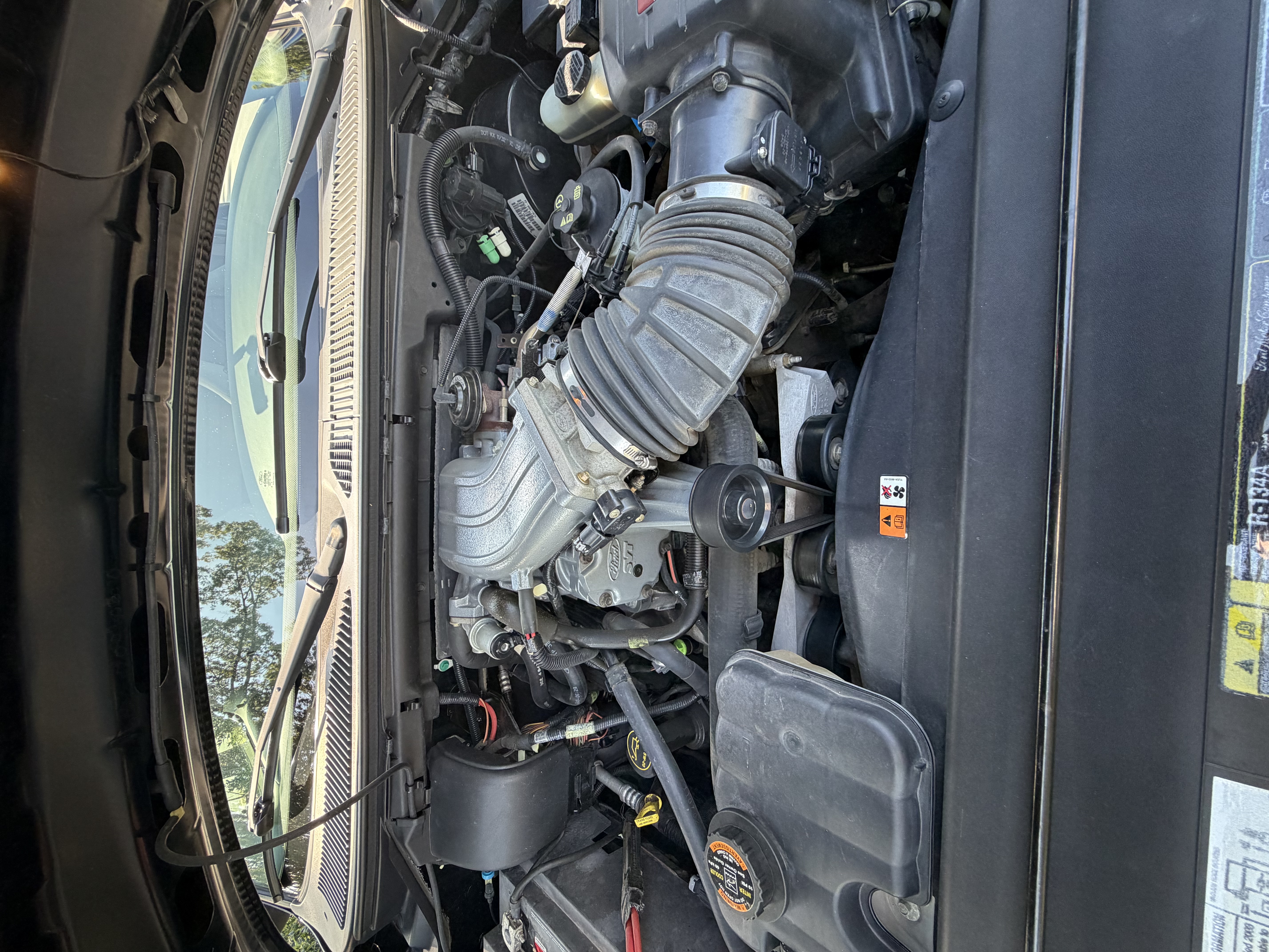 Used 2003 Ford F150 Lightning RWD image 20