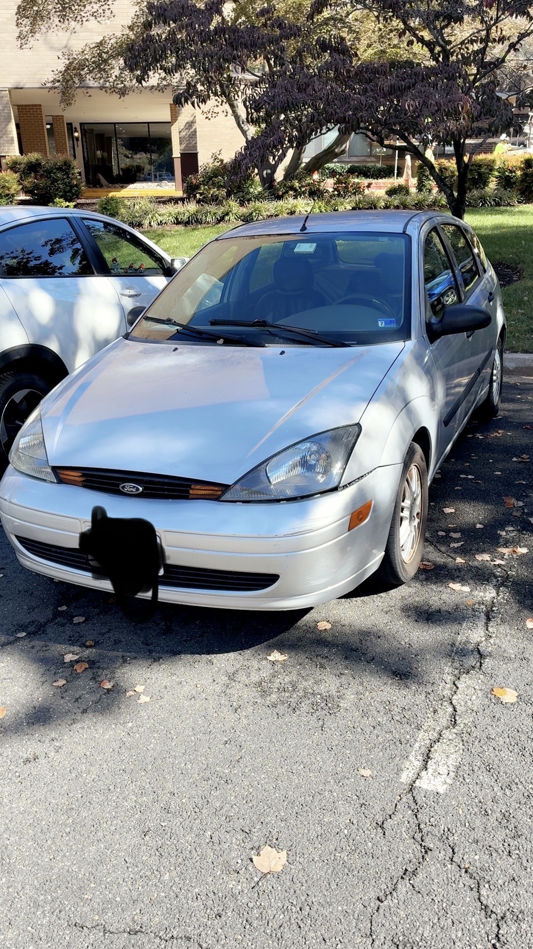 Used 2003 Ford Focus ZX5 Hatchback FWD image 1