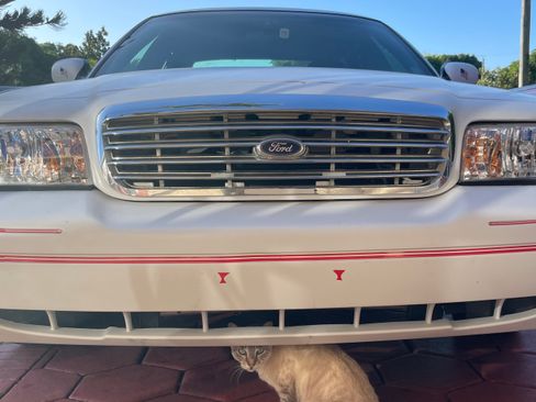 Used 2002 Ford Crown Victoria LX image 5