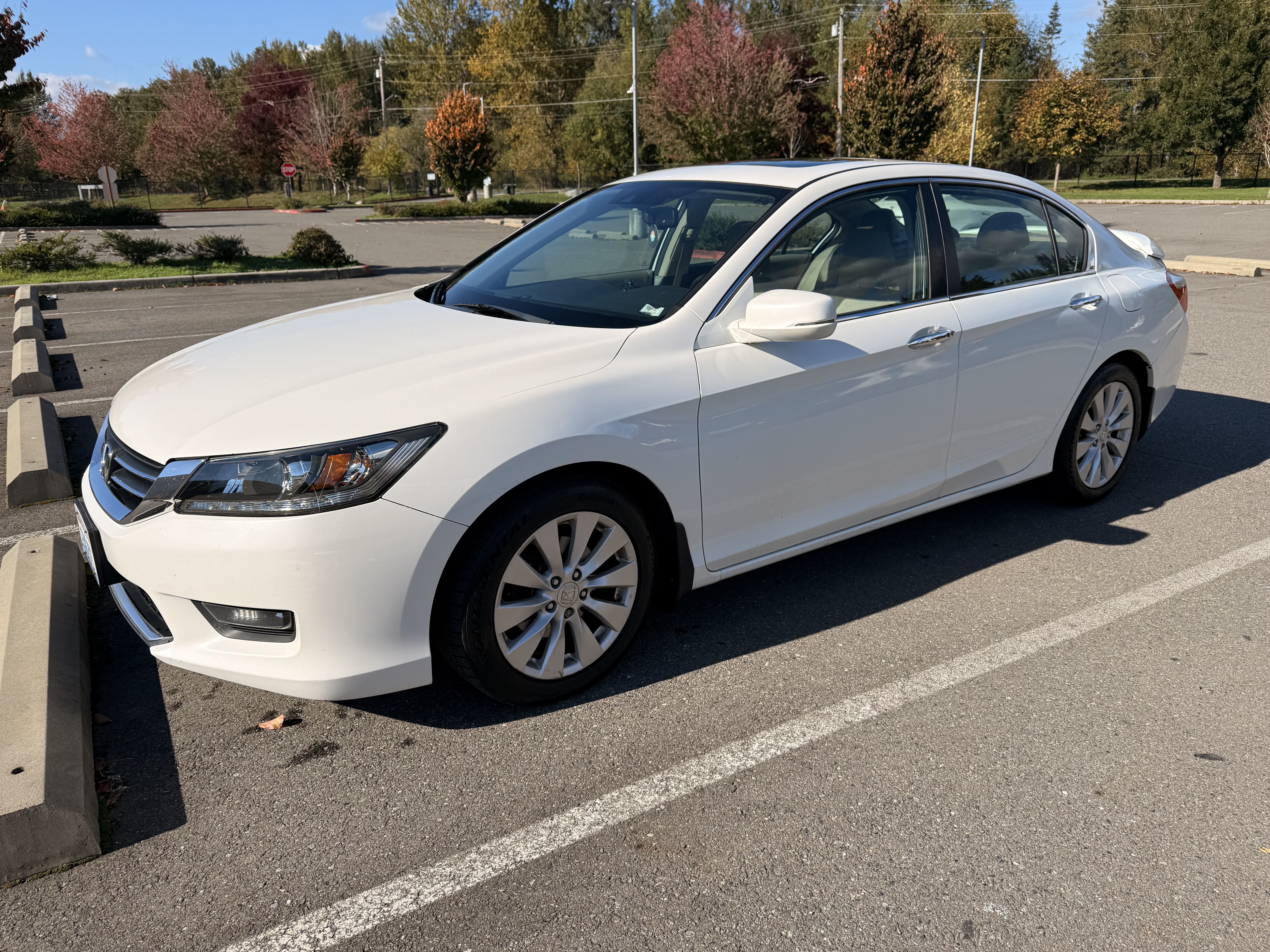 Used 2014 Honda Accord EX-L image 4