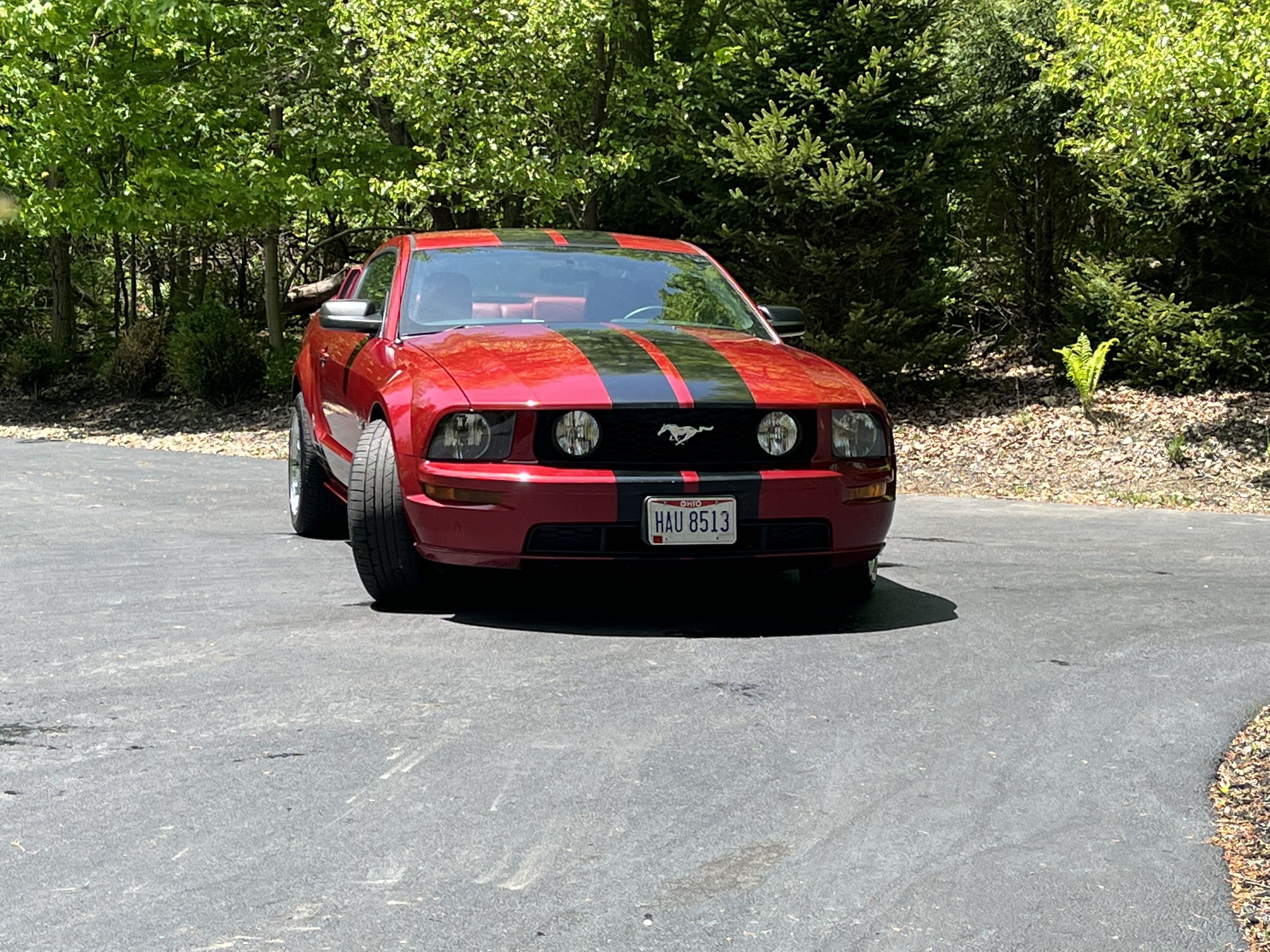Used 2005 Ford Mustang GT Premium RWD image 4