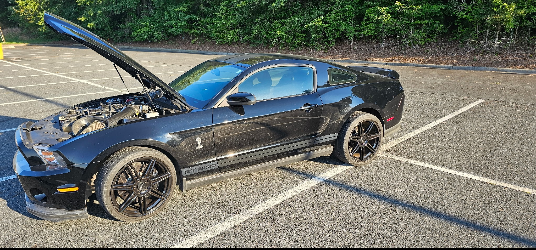 Used 2010 Ford Mustang Shelby GT500 RWD image 8
