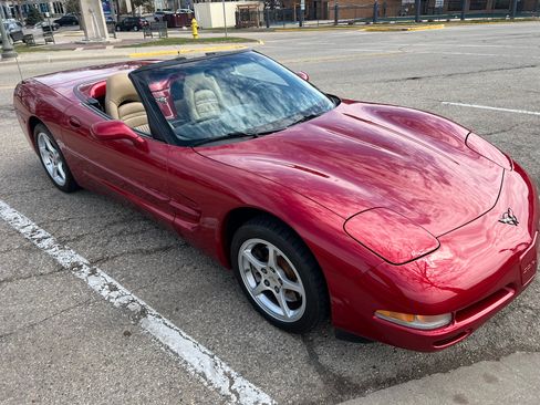 Used 2000 Chevrolet Corvette Convertible w/ Performance Handling Pkg RWD image 1