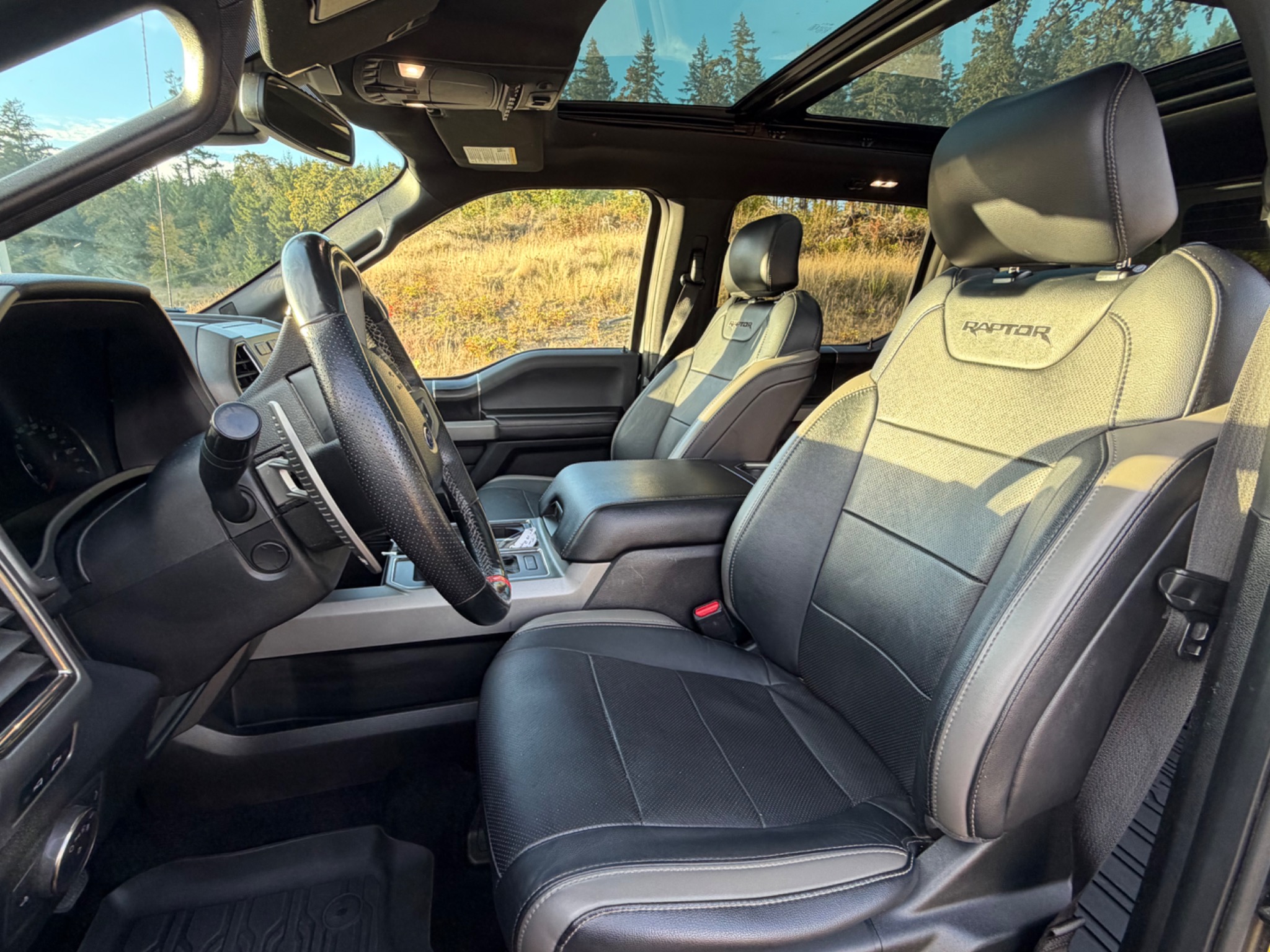 Used 2017 Ford F150 Raptor w/ Equipment Group 802A Luxury AWD/4WD image 4