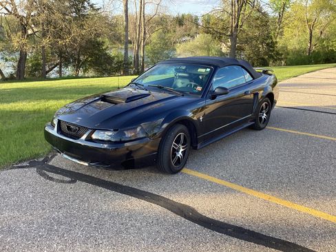 Used 2001 Ford Mustang Convertible RWD image 10