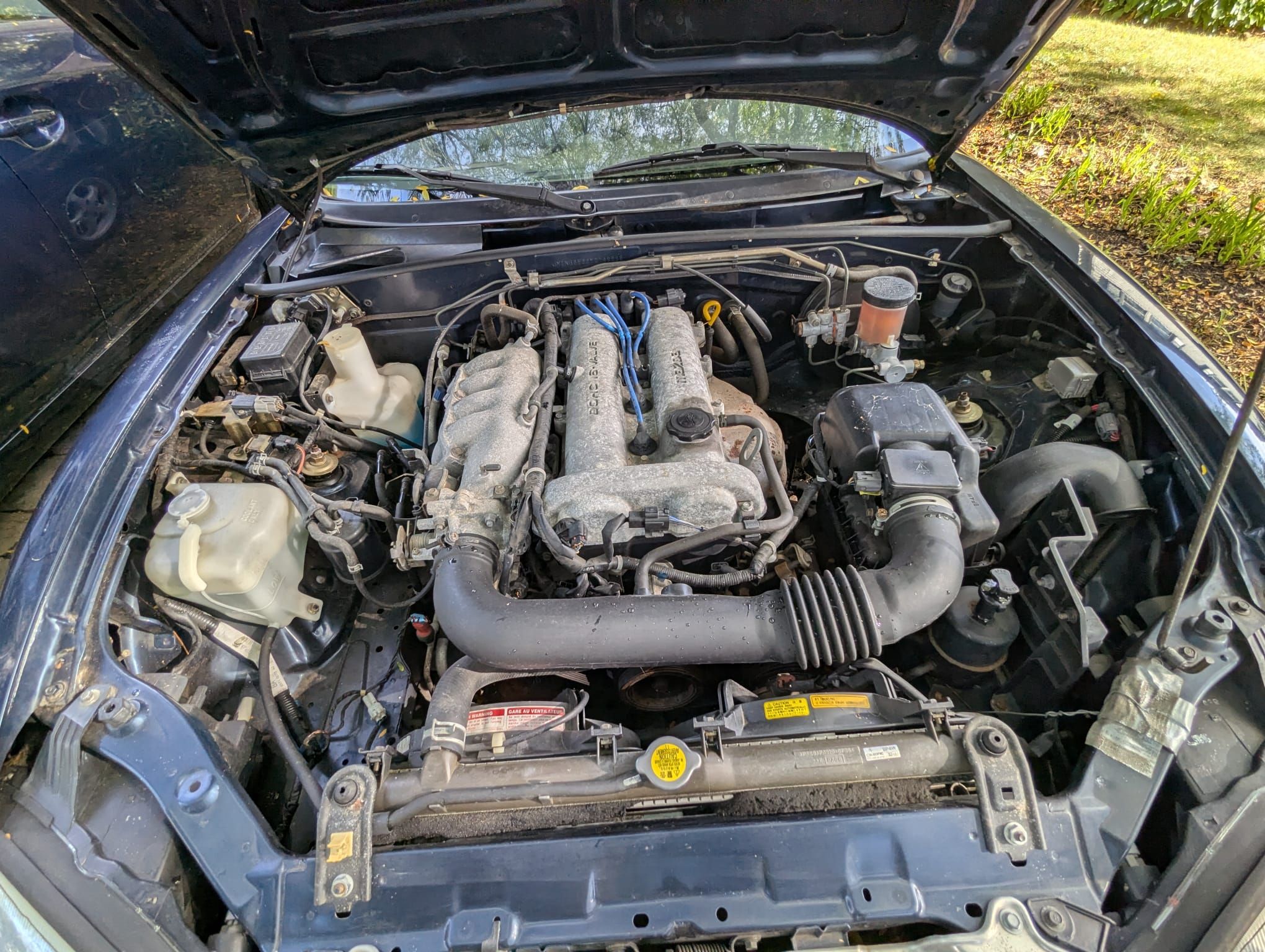 Used 2000 MAZDA MX-5 Miata RWD image 6
