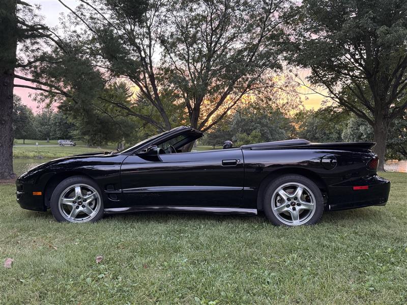 Used 2001 Pontiac Firebird Trans Am RWD image 9