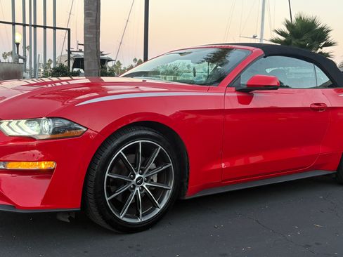 Used 2018 Ford Mustang Premium w/ Equipment Group 201A RWD image 14