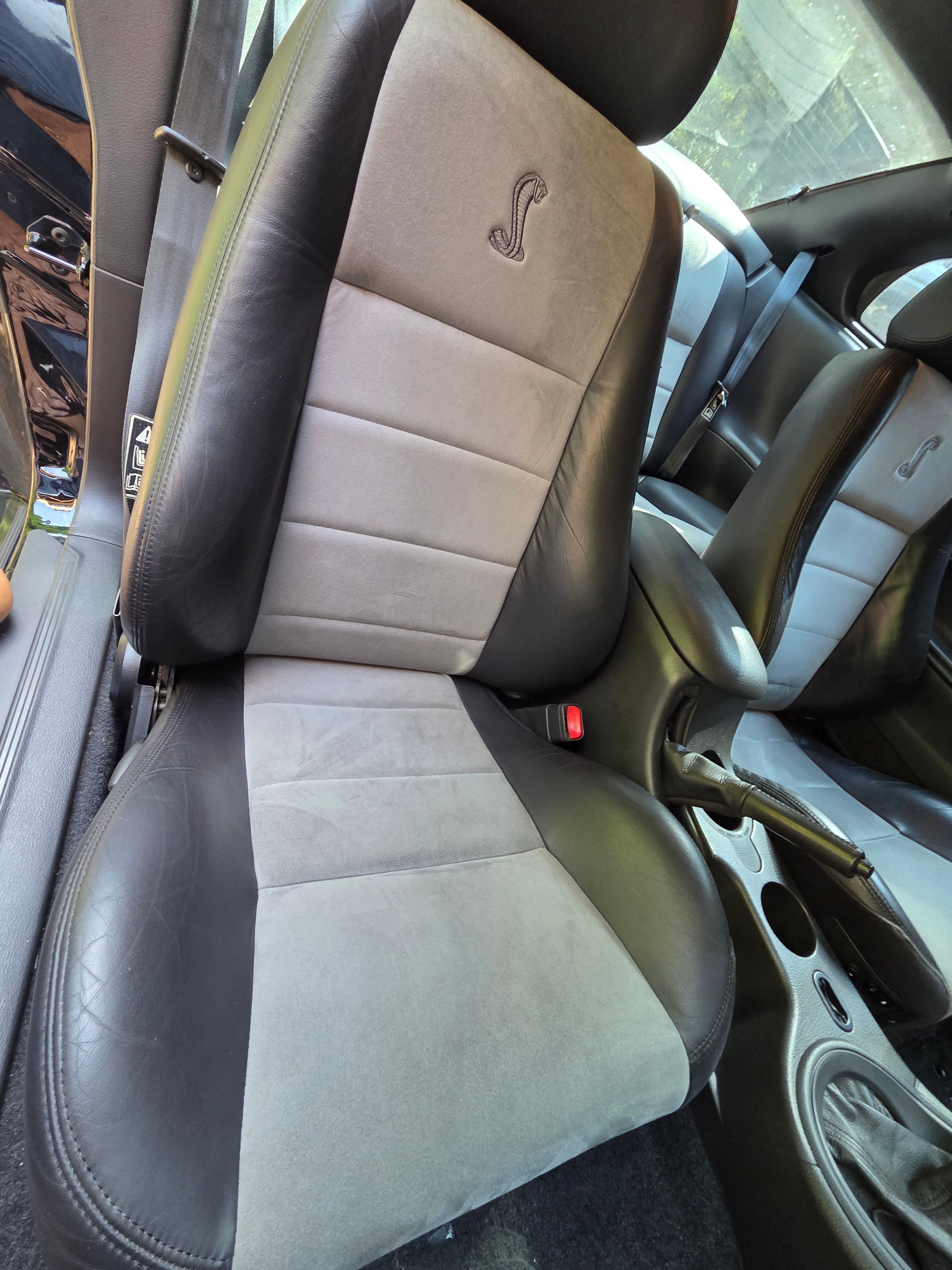 Used 2003 Ford Mustang Cobra RWD image 16