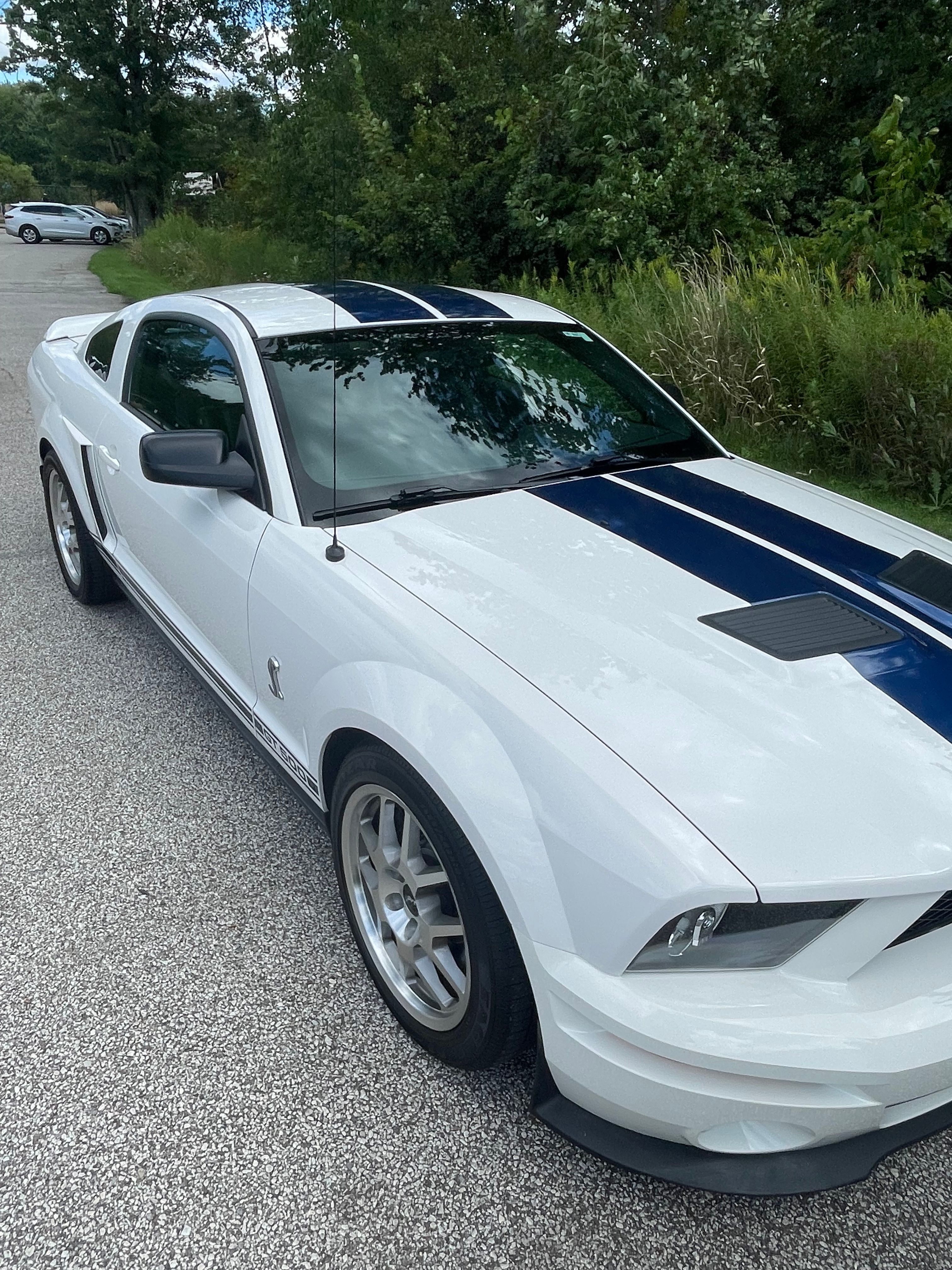 Used 2008 Ford Mustang Shelby GT500 RWD image 12