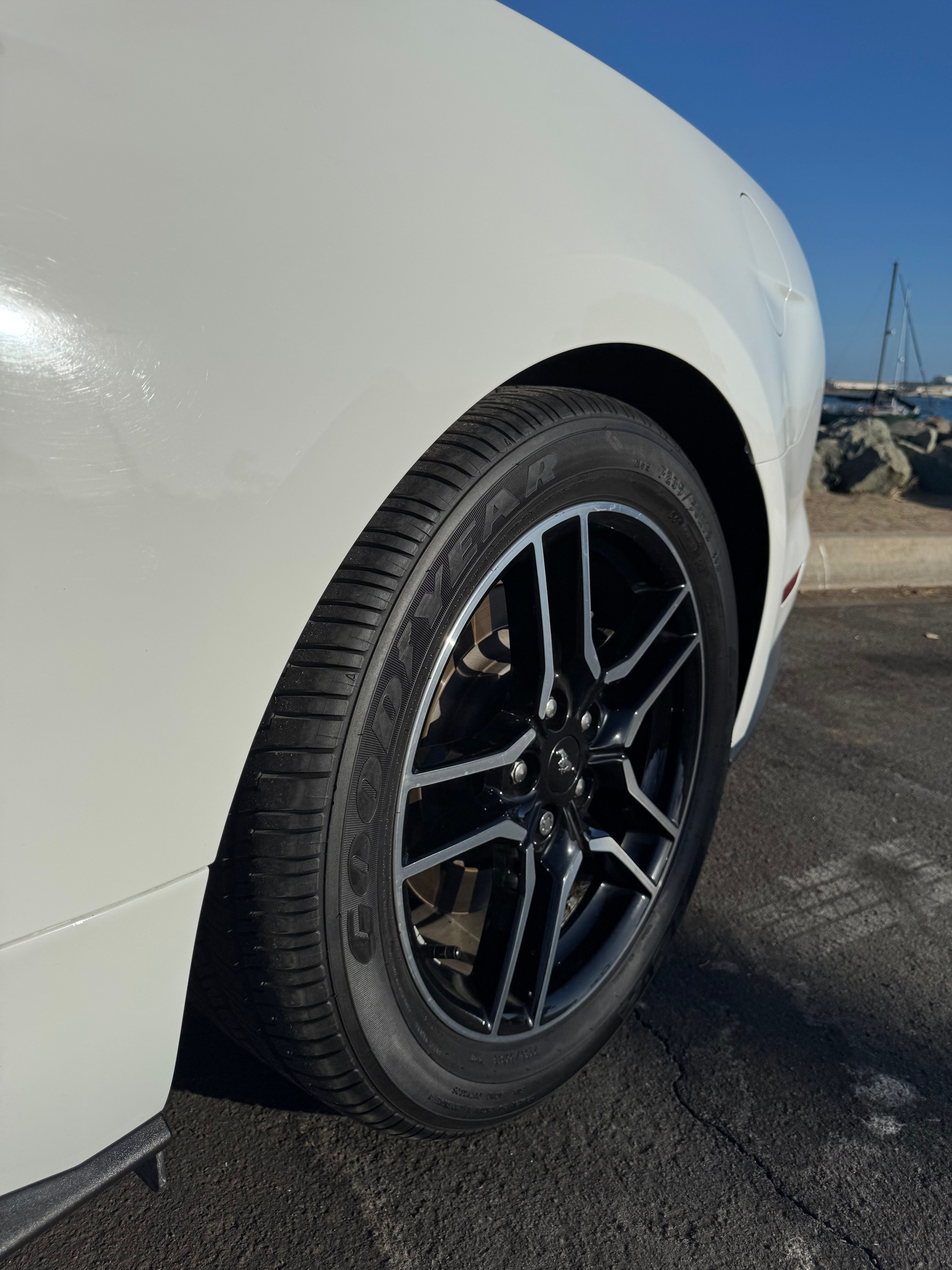 Used 2019 Ford Mustang GT Premium RWD image 17