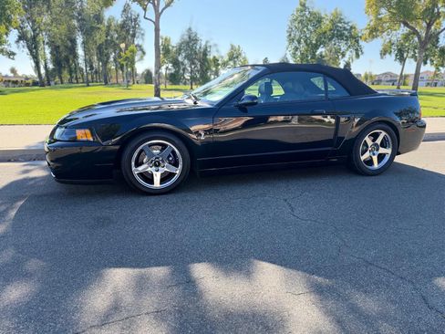Used 2004 Ford Mustang Cobra RWD image 4