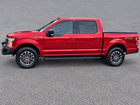Used 2020 Ford F150 XLT w/ Equipment Group 302A Luxury AWD/4WD image 5