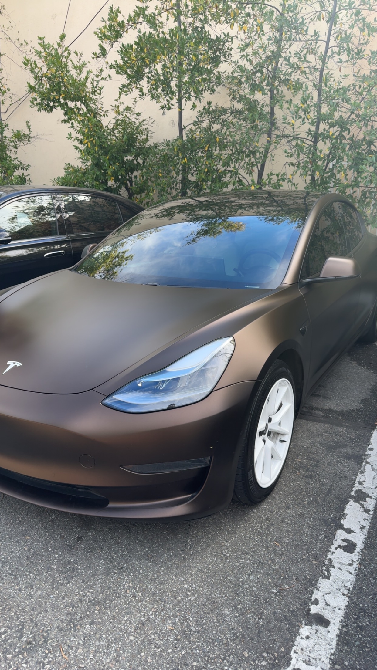 Used 2021 Tesla Model 3 Standard Range Plus RWD image 15