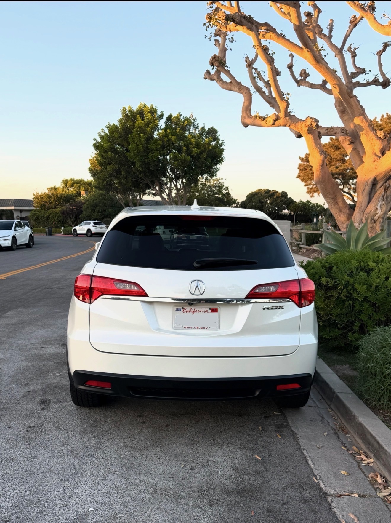 Used 2014 Acura RDX FWD image 4