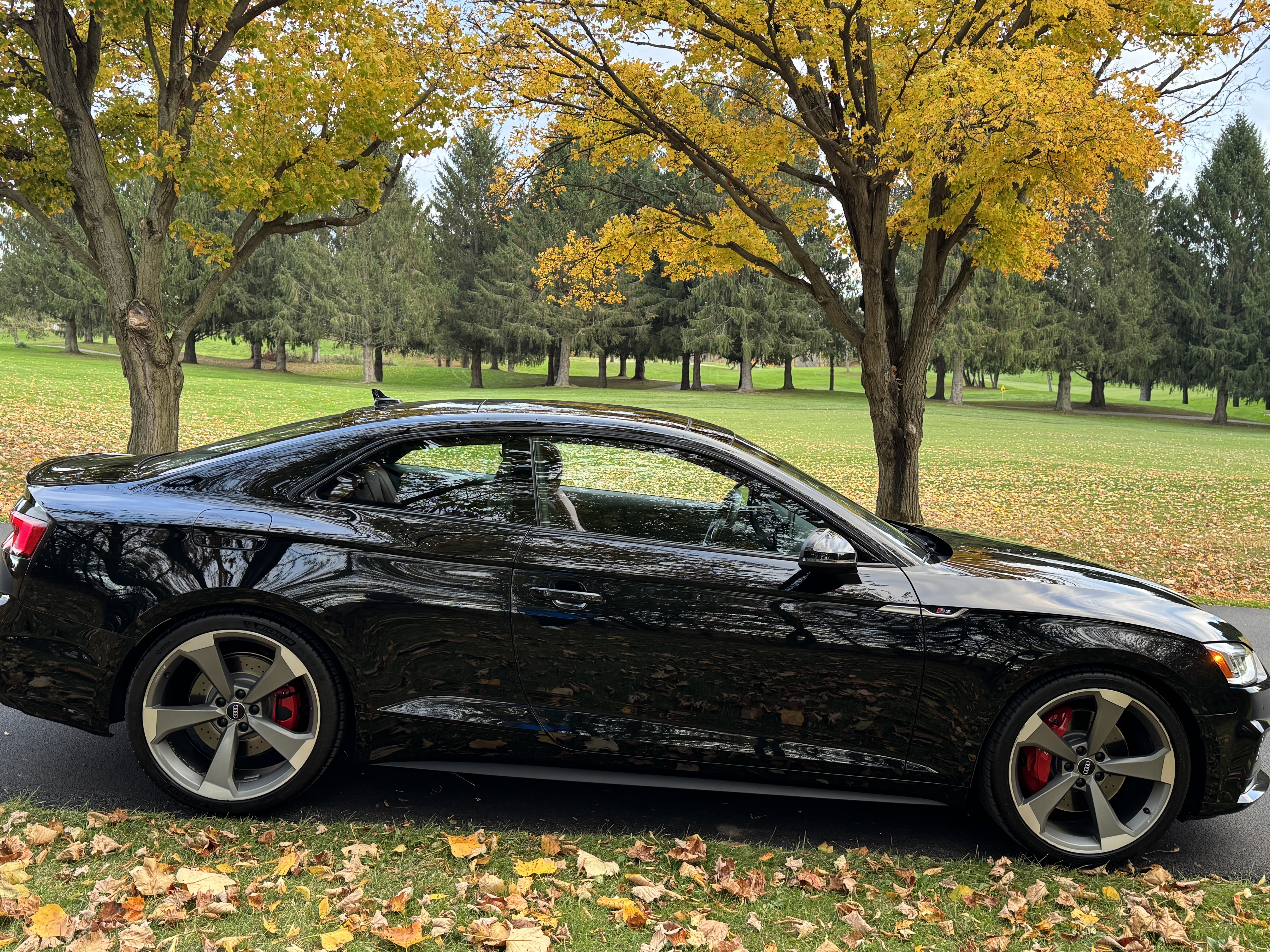 Used 2019 Audi S5 Premium Plus AWD/4WD image 16