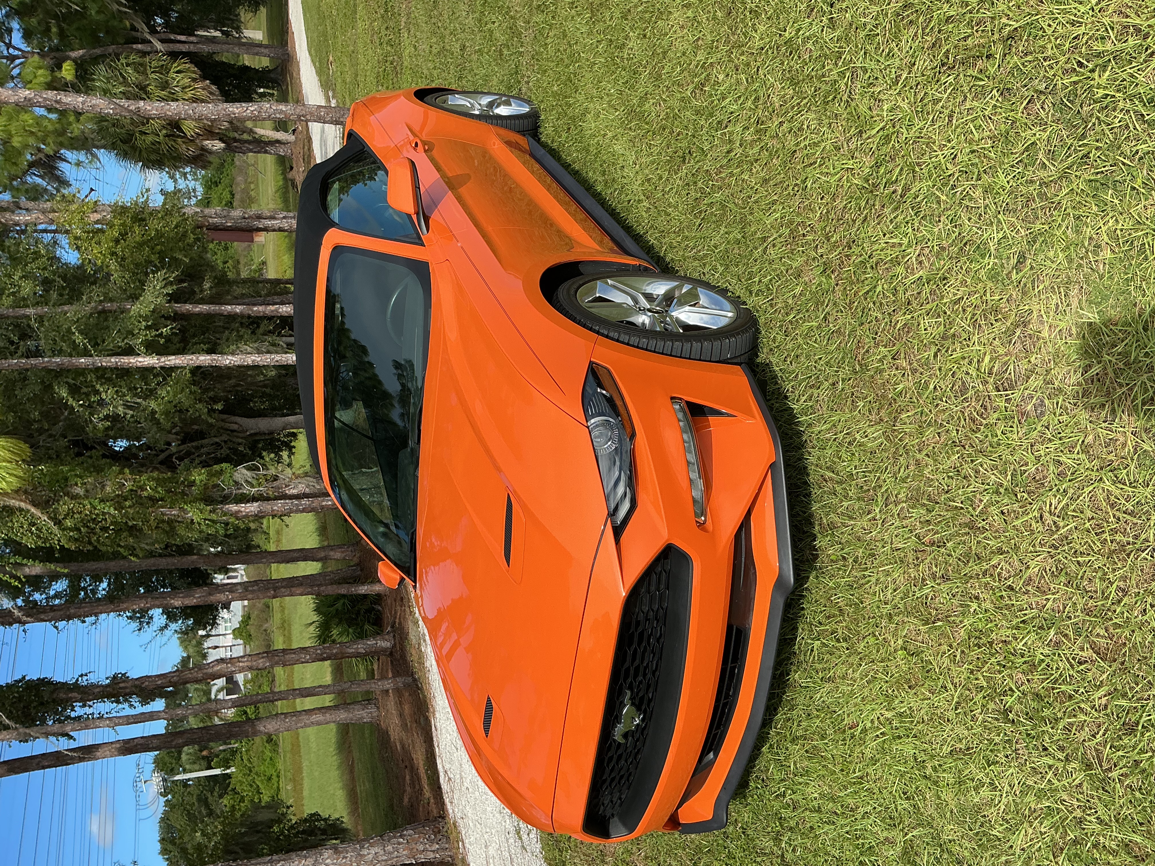 Used 2020 Ford Mustang Convertible w/ Equipment Group 101A RWD image 6