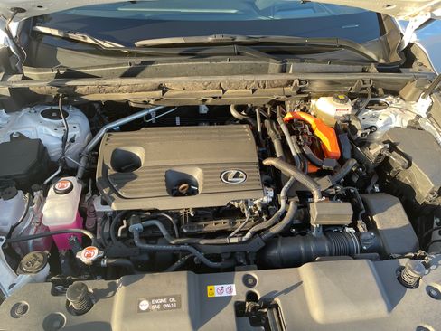 Used 2025 Lexus NX 300h AWD w/ Luxury Package image 15