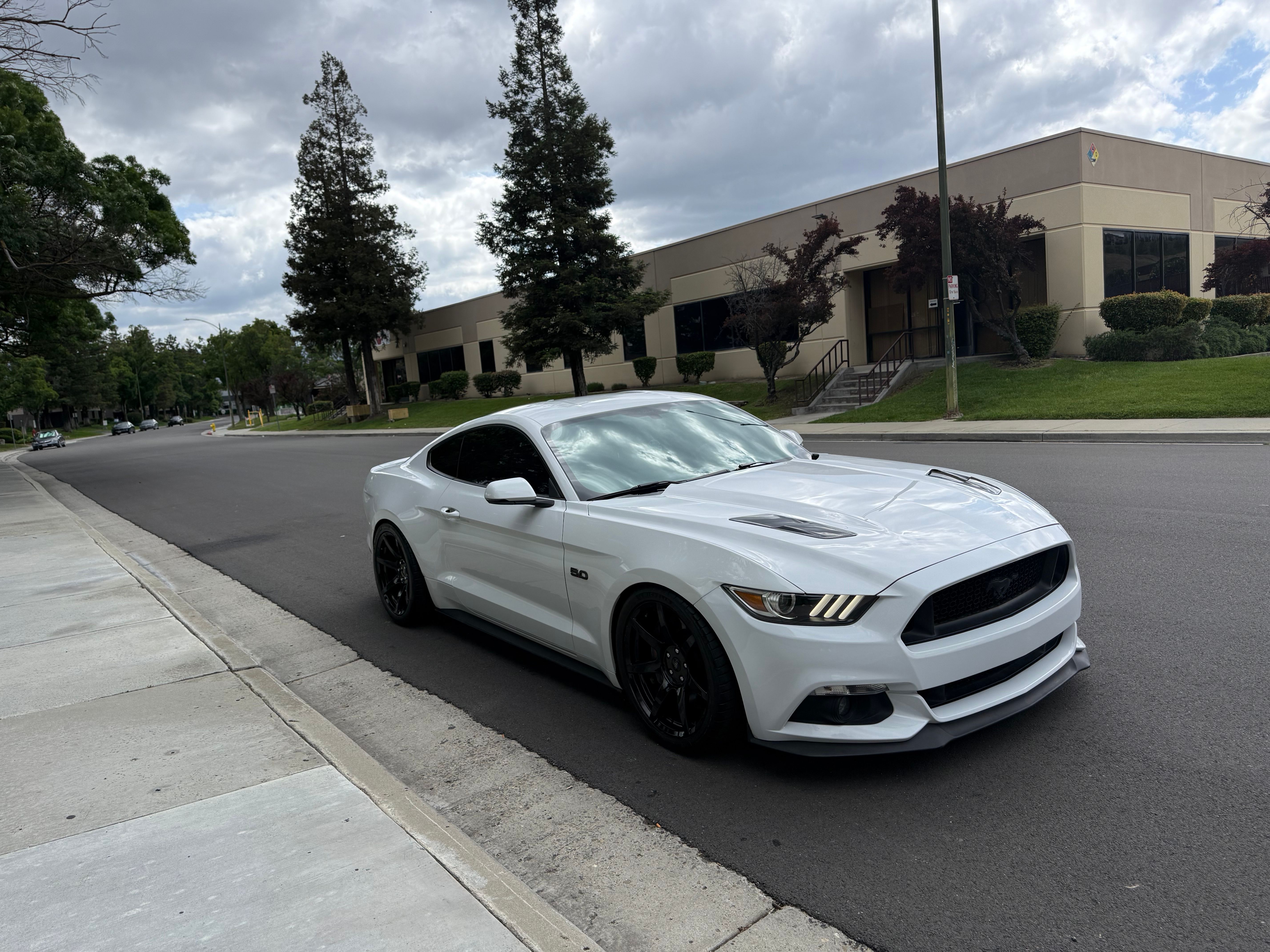 Used 2015 Ford Mustang GT Premium w/ GT Performance Package RWD image 1