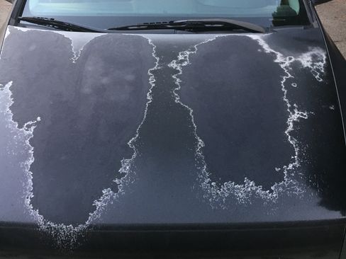 Used 2004 Honda Accord EX image 10