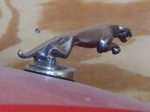 Used 1995 Jaguar XJS 4.0 Convertible RWD image 5