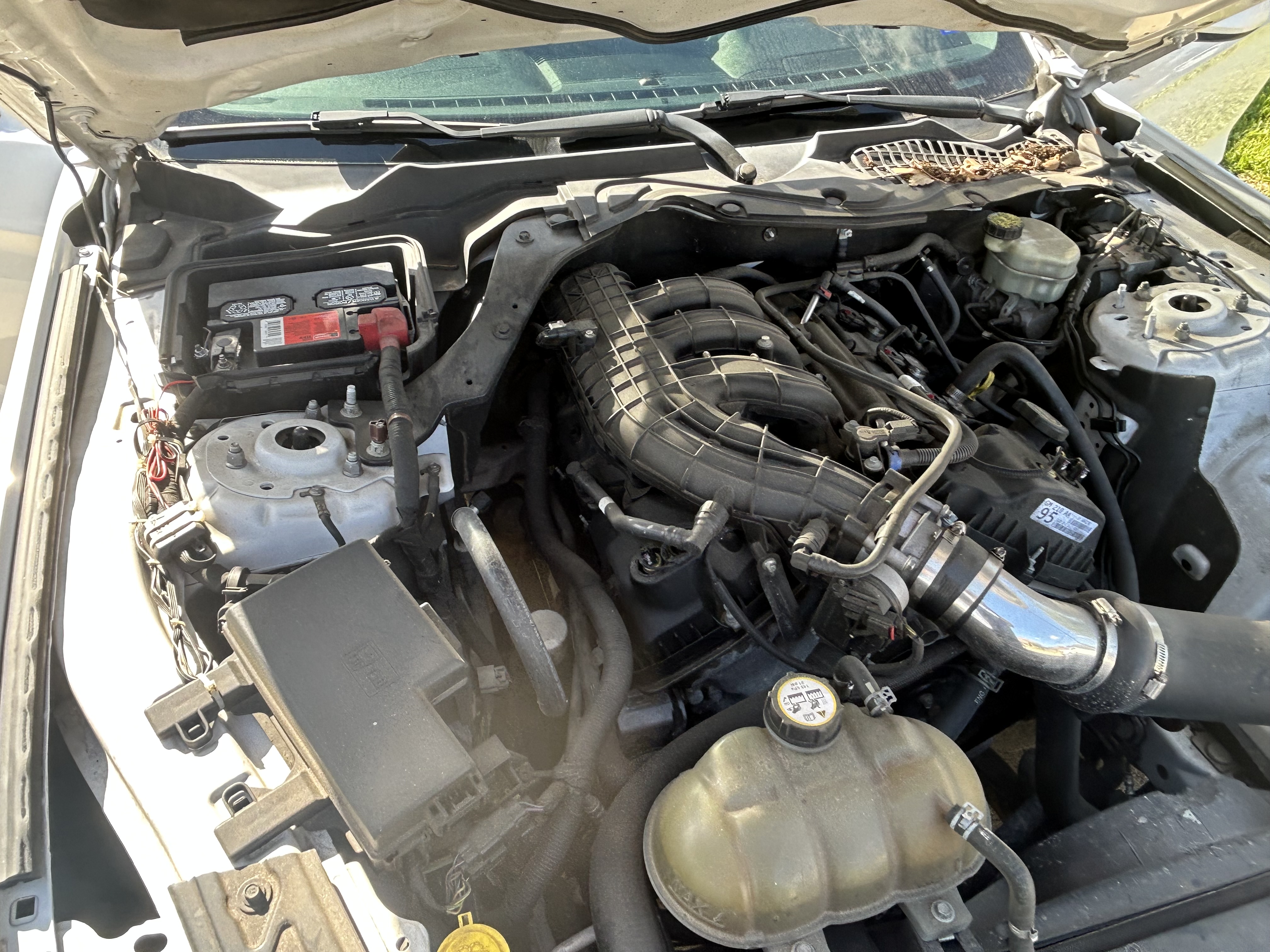 Used 2016 Ford Mustang Coupe w/ Equipment Group 051A RWD image 20