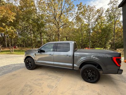 Used 2023 Ford F150 Platinum w/ Equipment Group 701A High