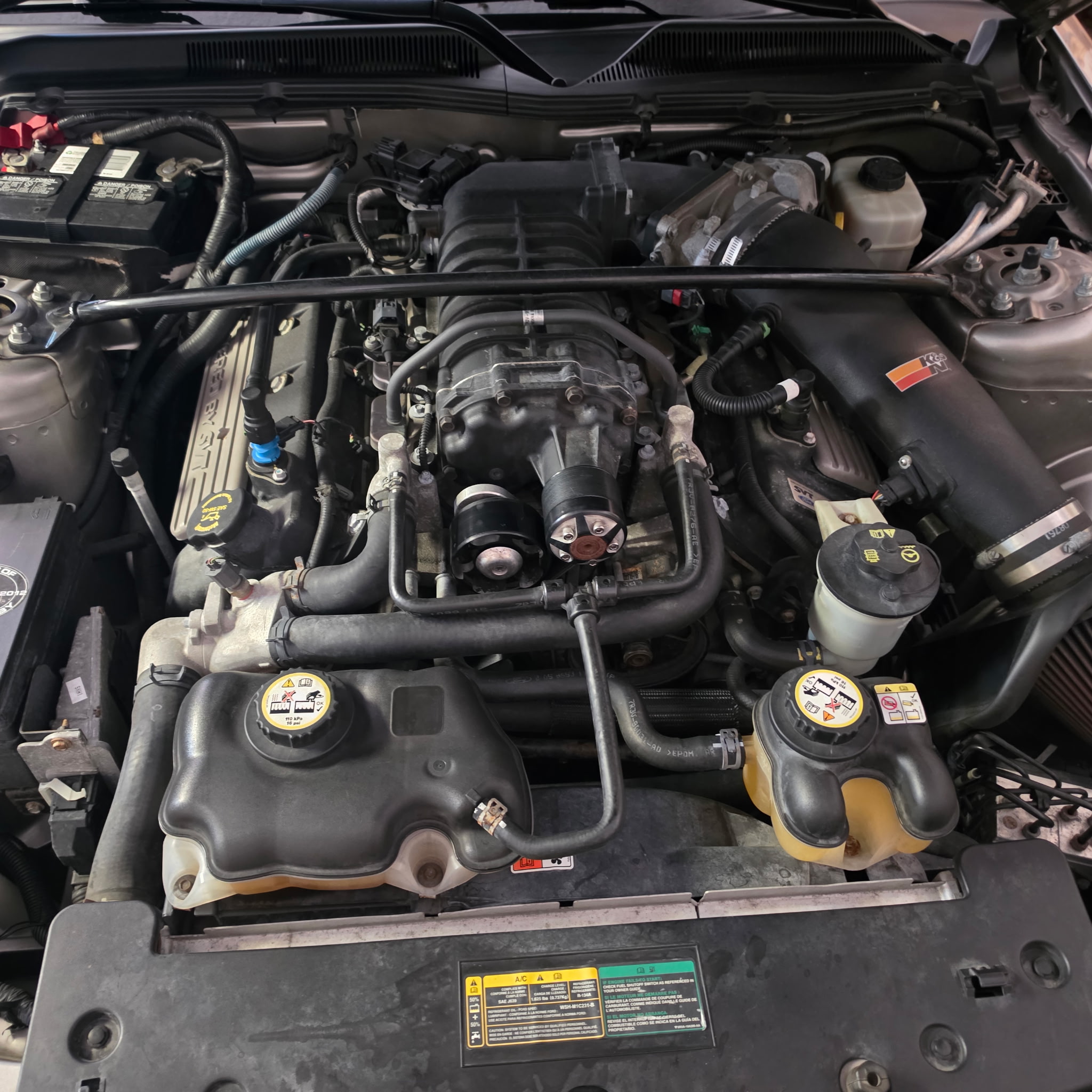 Used 2008 Ford Mustang Shelby GT500 RWD image 18