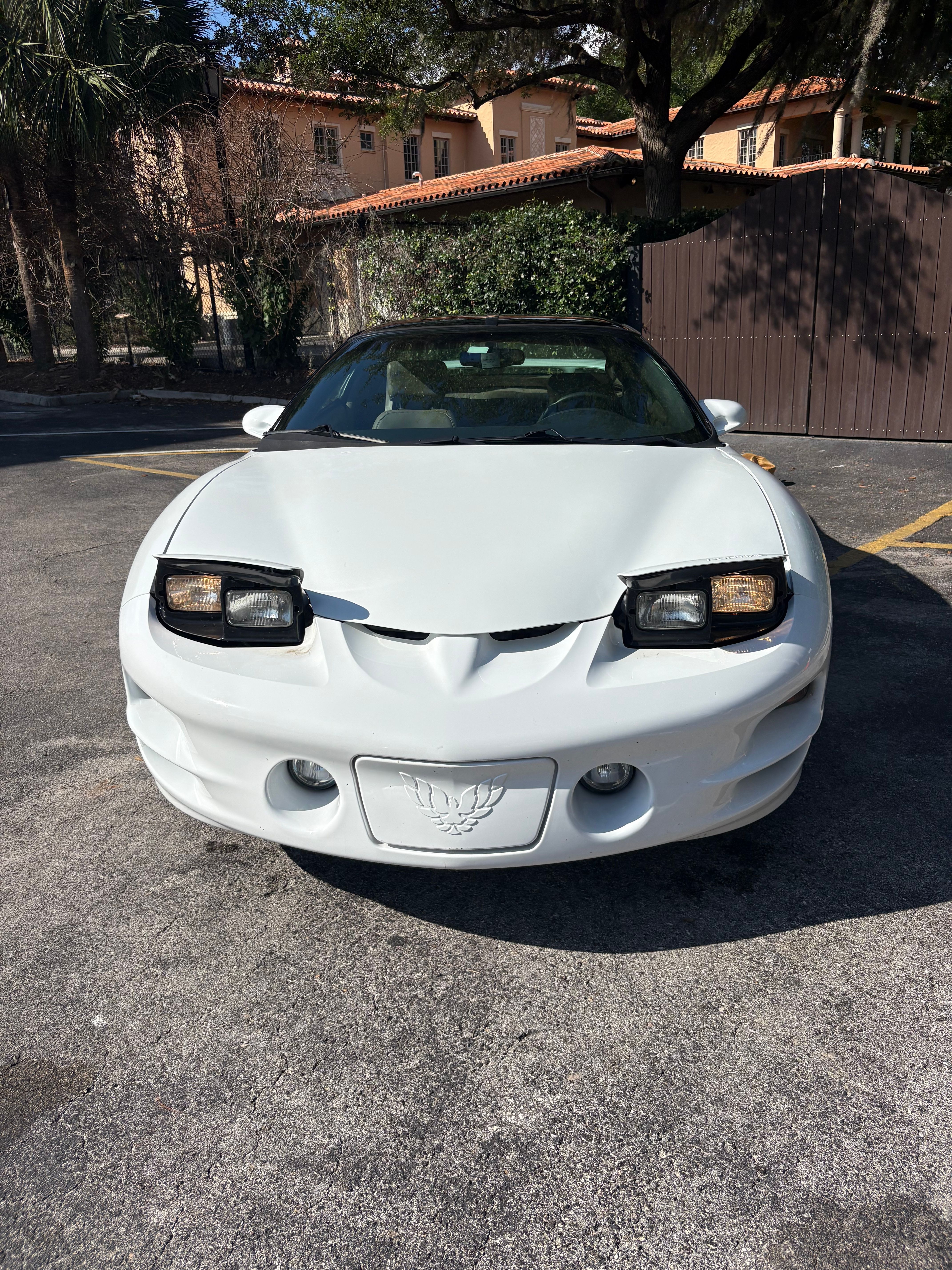 Used 1999 Pontiac Firebird Formula w/ Security Pkg RWD image 6