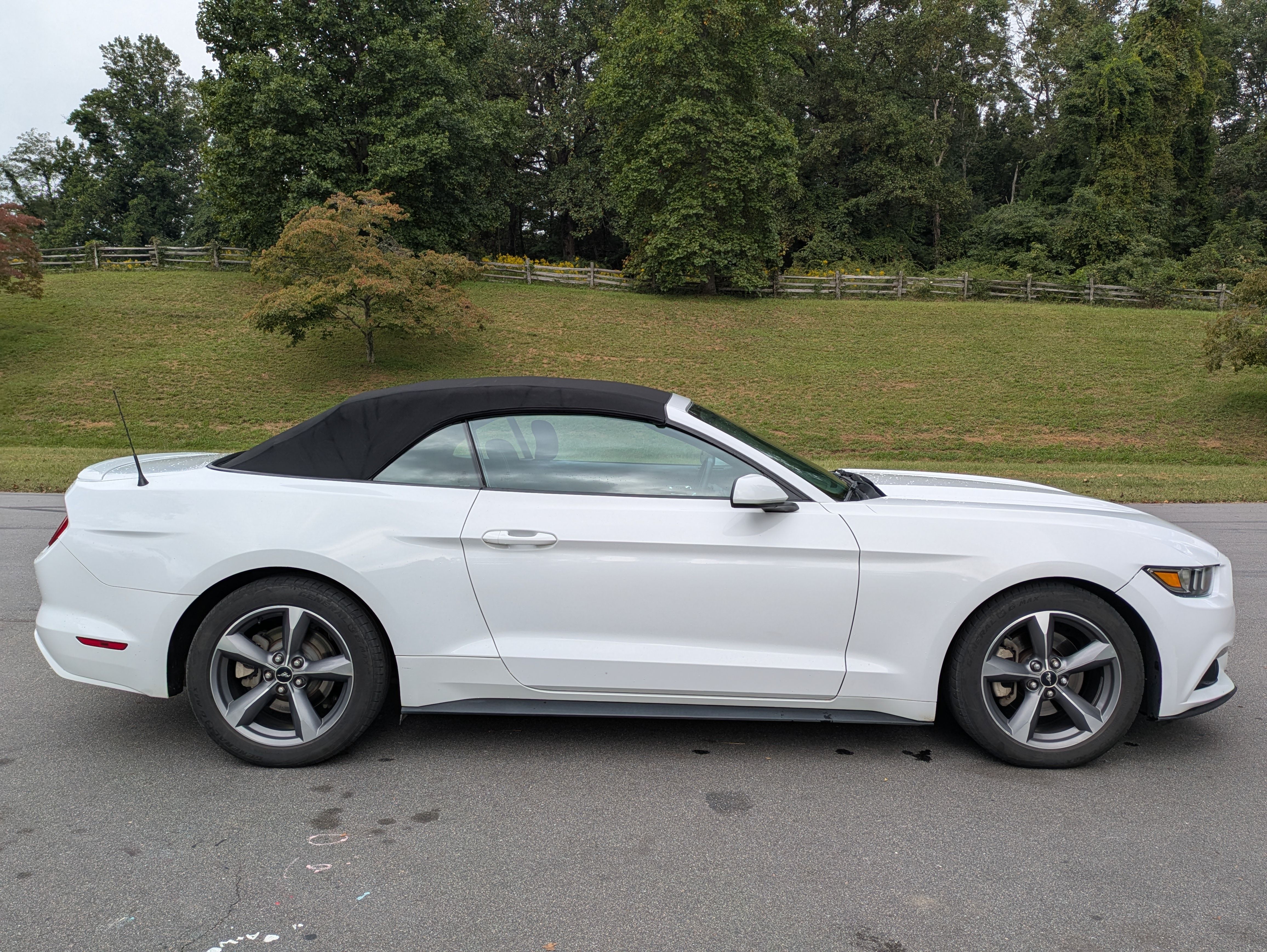 Used 2015 Ford Mustang Convertible w/ Equipment Group 051A RWD image 1