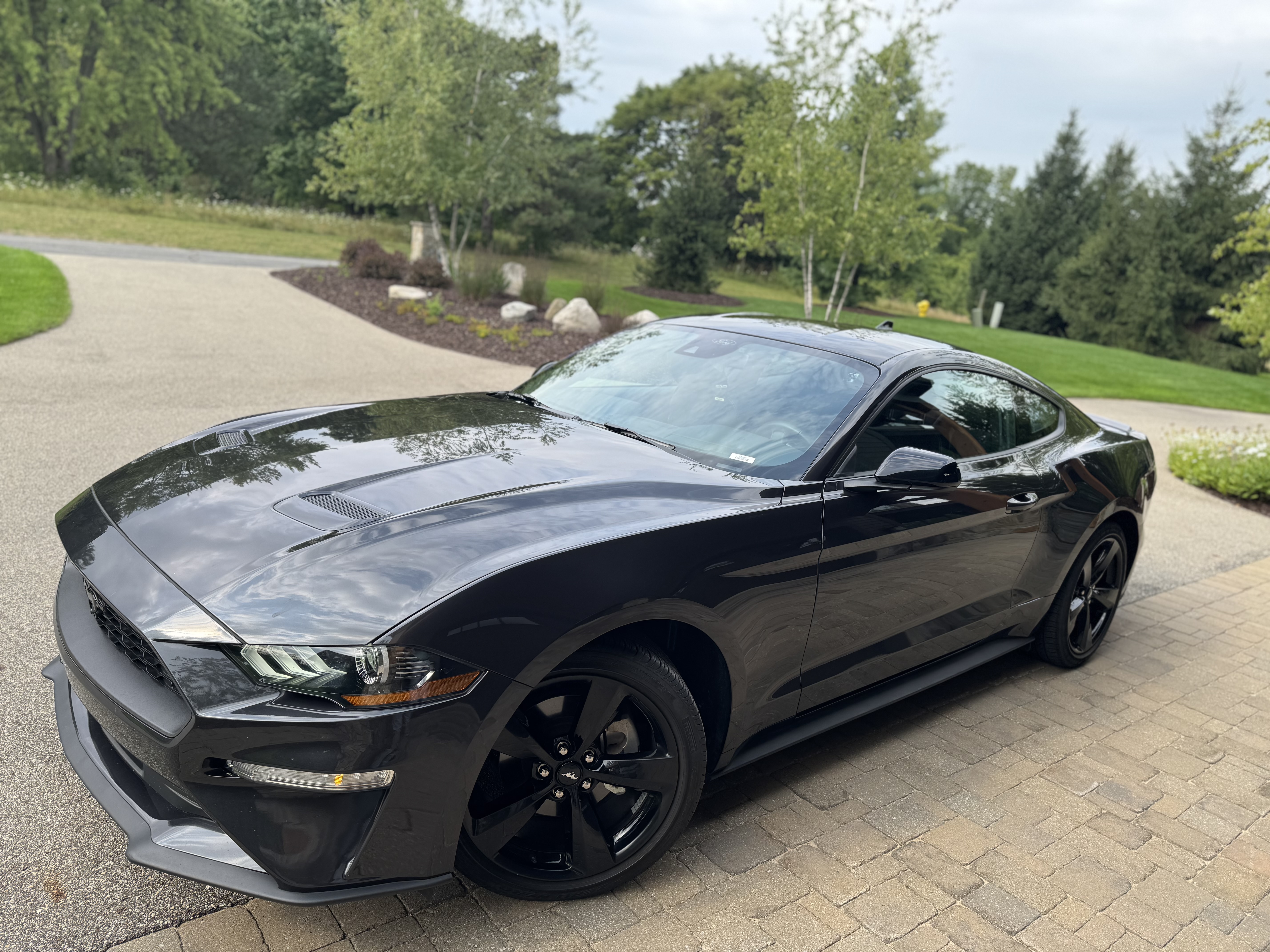 Used 2023 Ford Mustang Coupe w/ Equipment Group 101A RWD image 4
