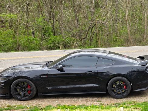 Used 2017 Ford Mustang Shelby GT350R w/ GT350R Equipment Group 920A image 18