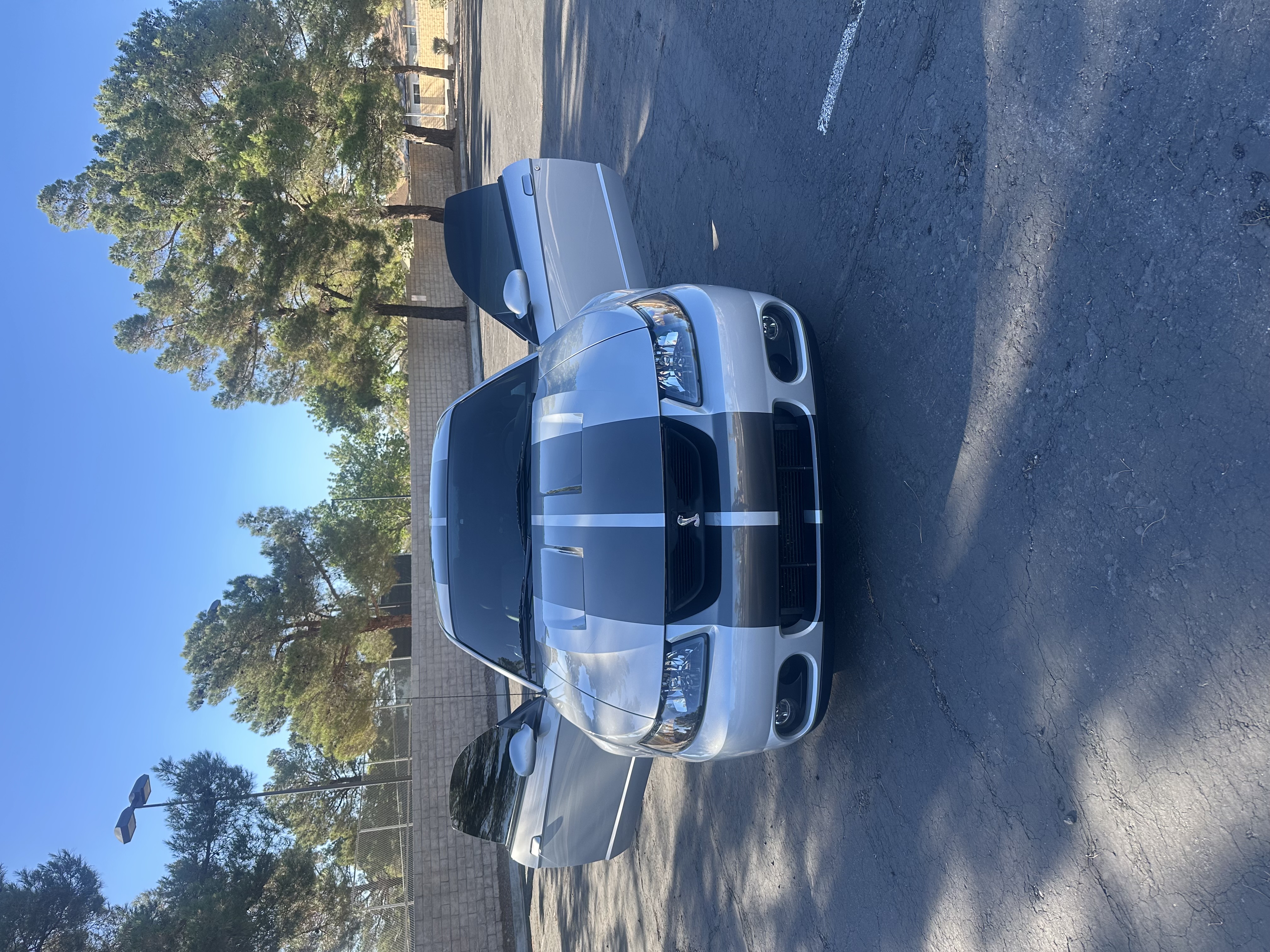 Used 2004 Ford Mustang Cobra RWD image 6