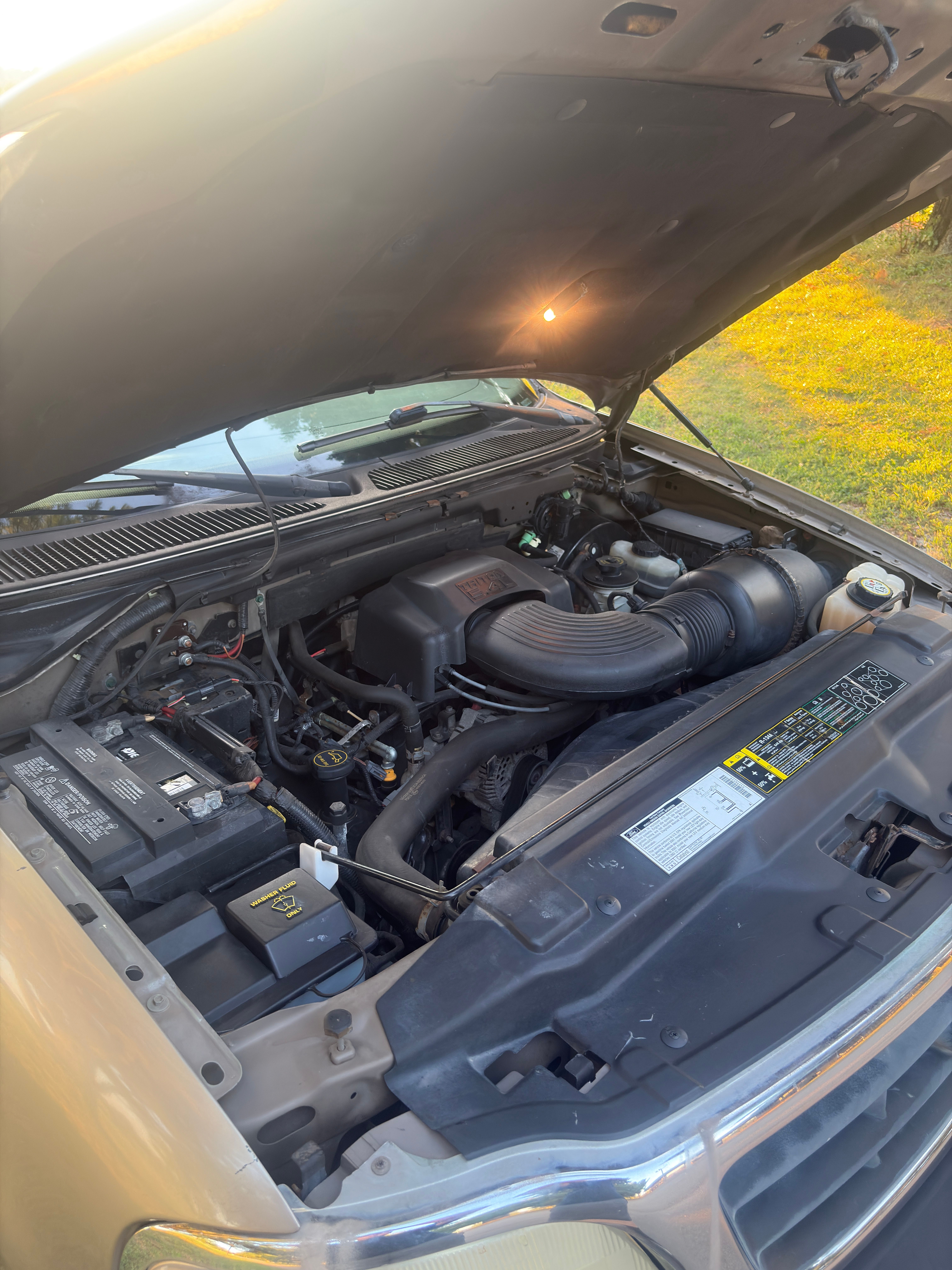 Used 2001 Ford F150 2WD Regular Cab image 14