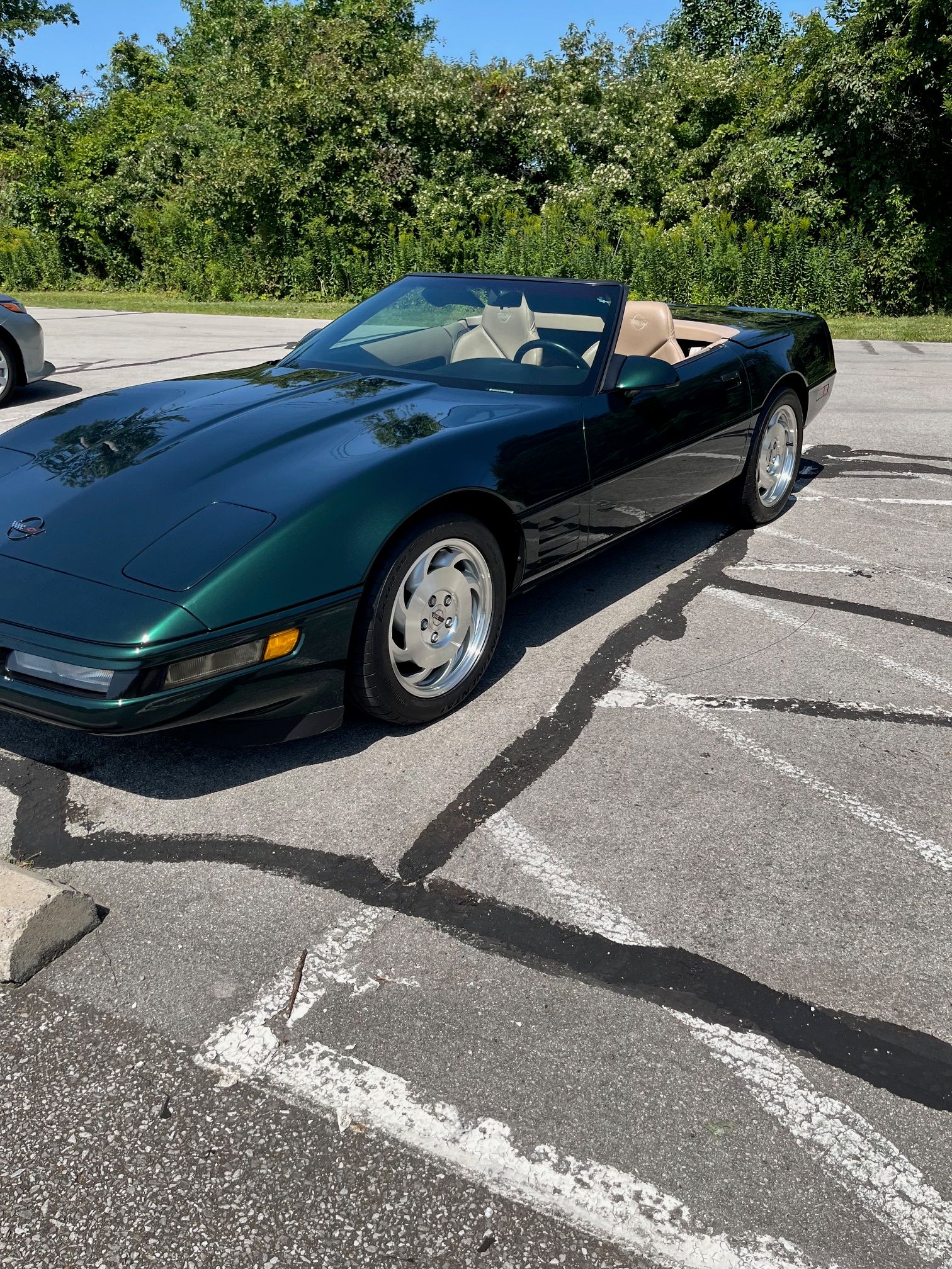 Used 1994 Chevrolet Corvette Convertible RWD image 12
