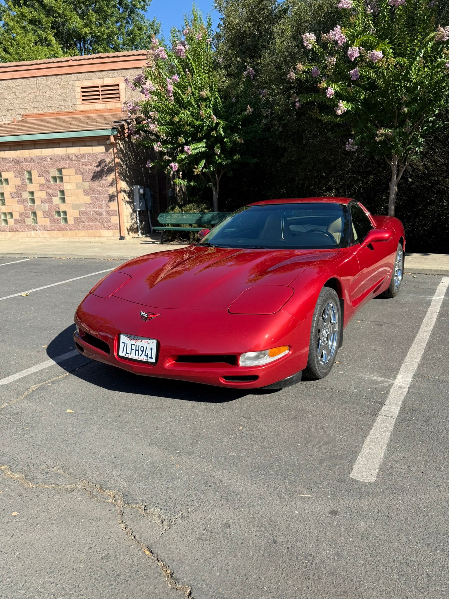 Used 1998 Chevrolet Corvette Coupe RWD image 1