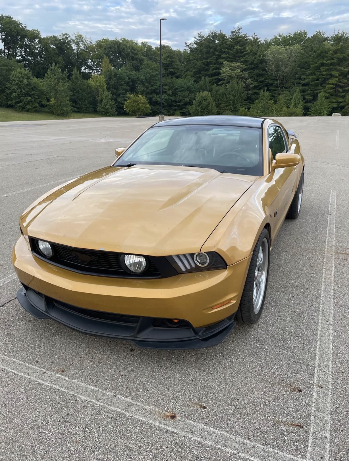 Used 2010 Ford Mustang GT RWD image 1