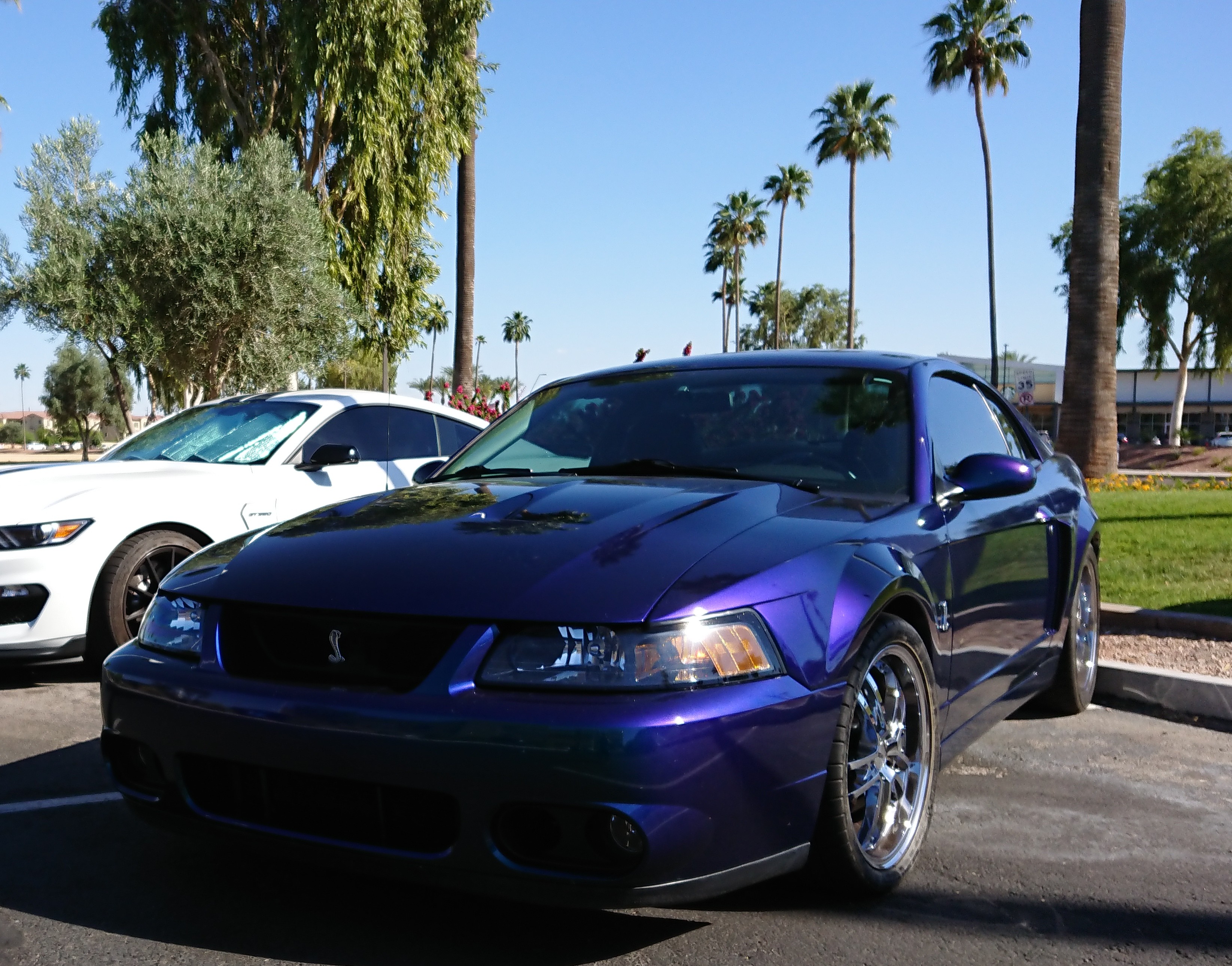 Used 2004 Ford Mustang Cobra RWD image 29