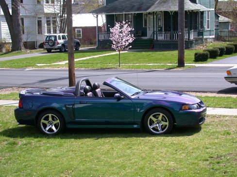 Used 2004 Ford Mustang Cobra image 5