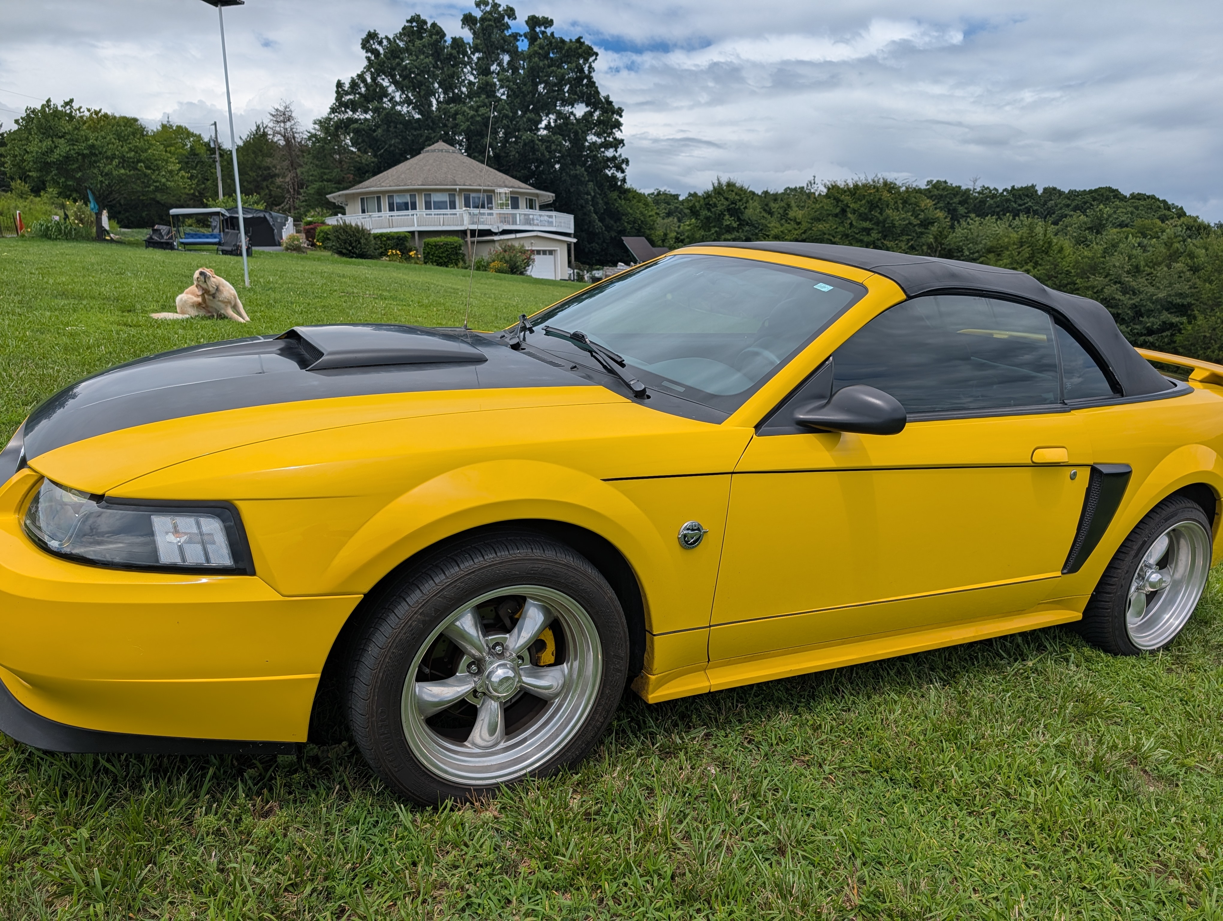 Used 2004 Ford Mustang GT Premium RWD image 14