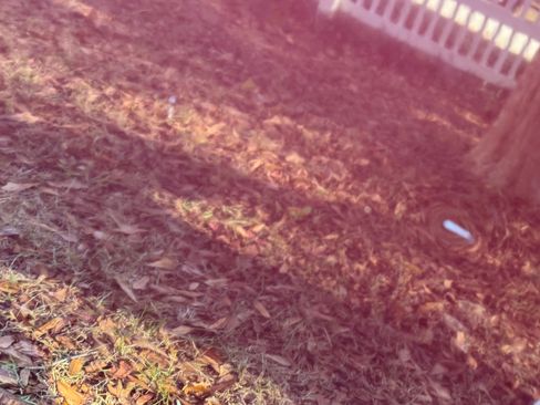 Used 2013 Honda Odyssey EX-L image 6