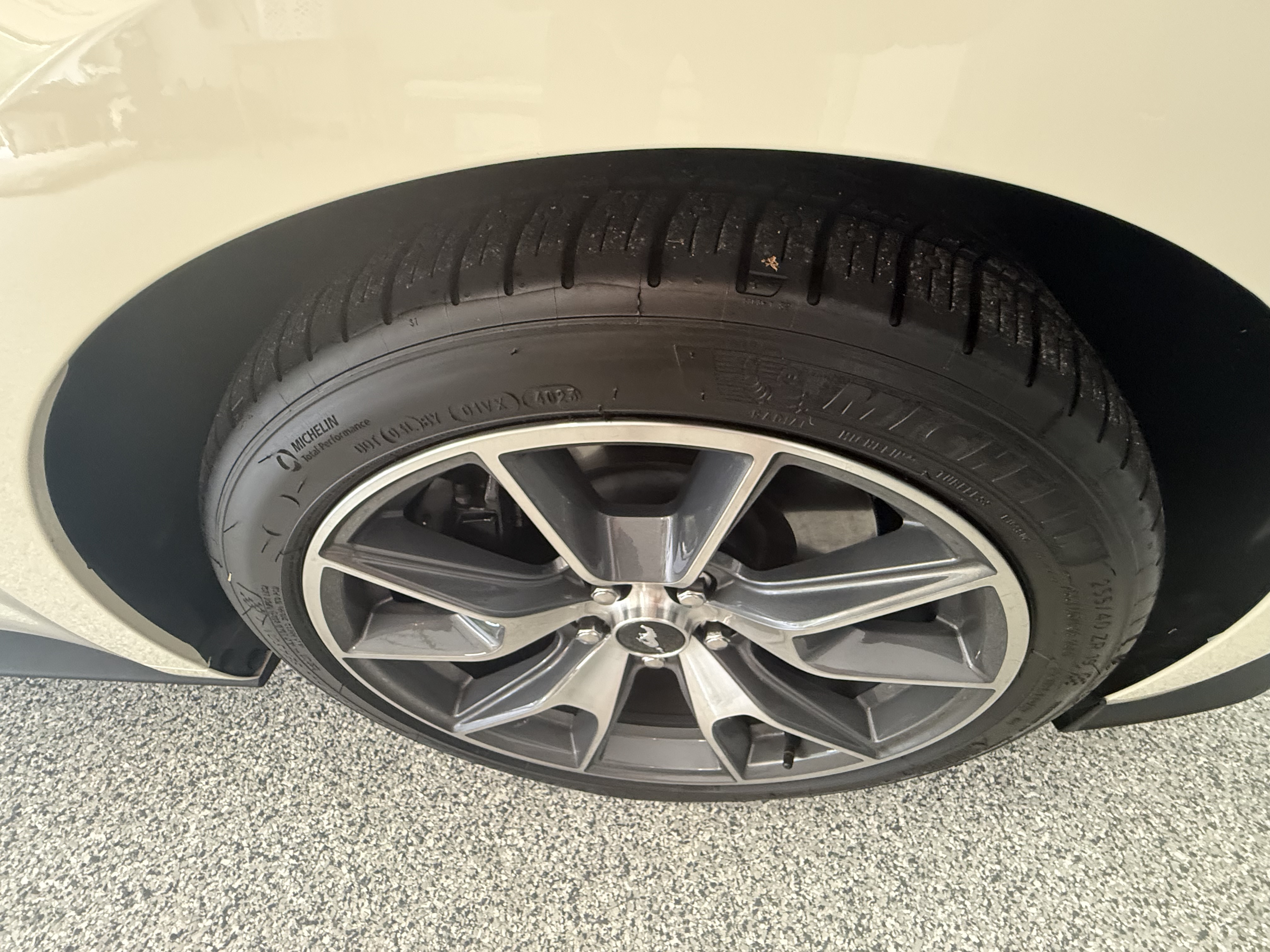 Used 2015 Ford Mustang 50 Years RWD image 4