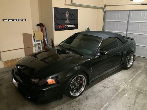 Used 2004 Ford Mustang Cobra image 6