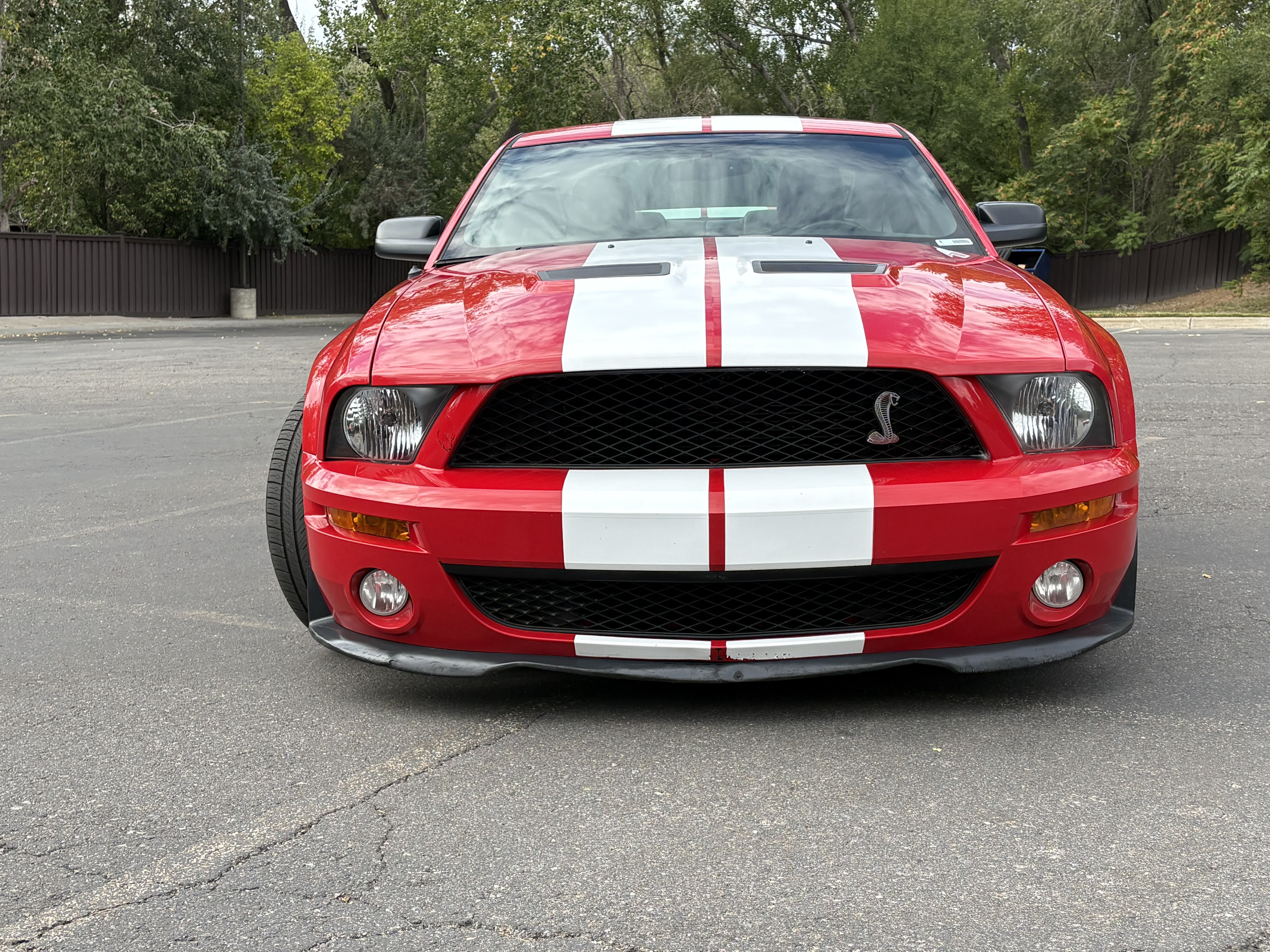 Used 2007 Ford Mustang Shelby GT500 RWD image 8