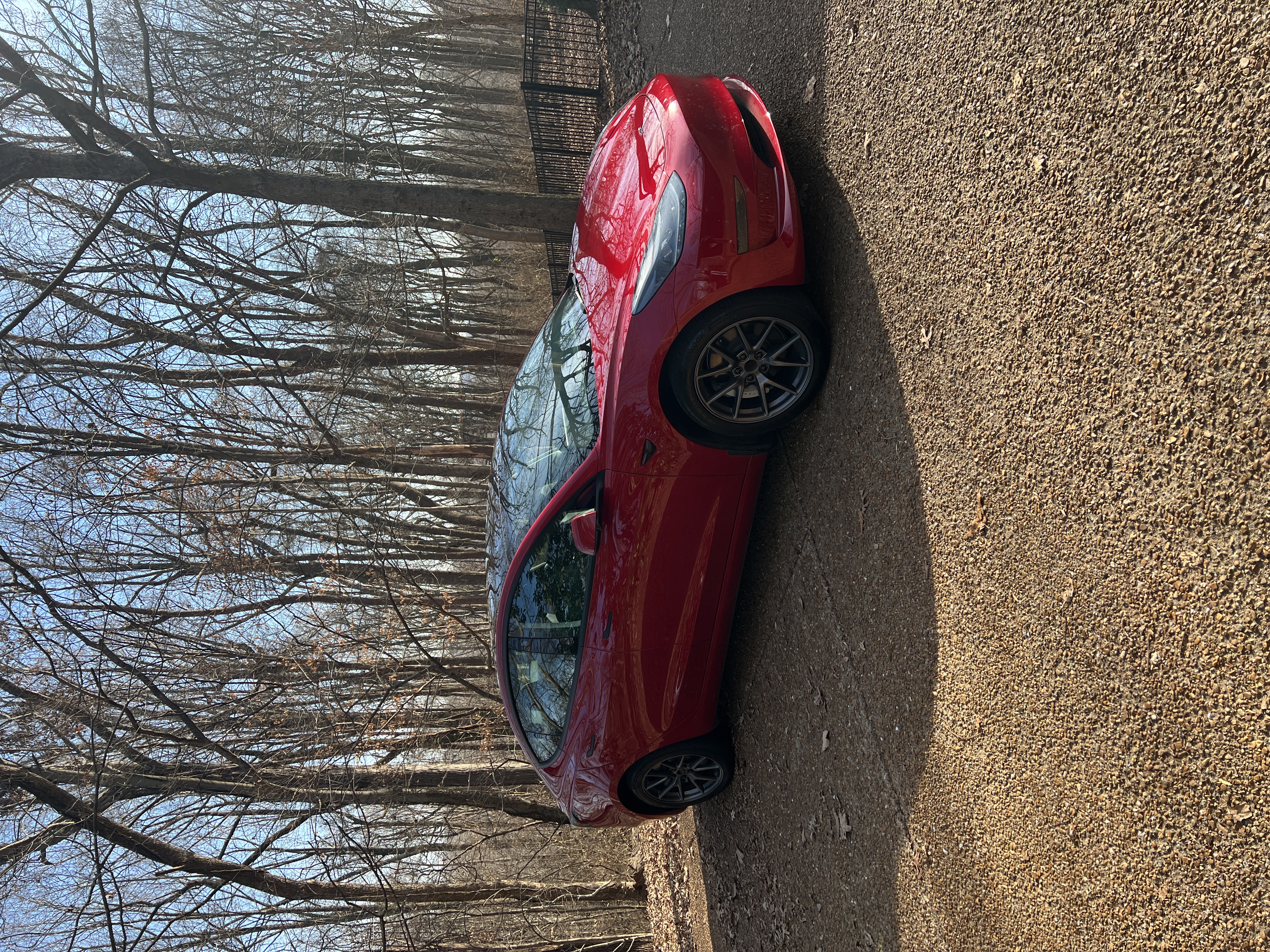 Used 2023 Tesla Model 3 Standard Range RWD image 4