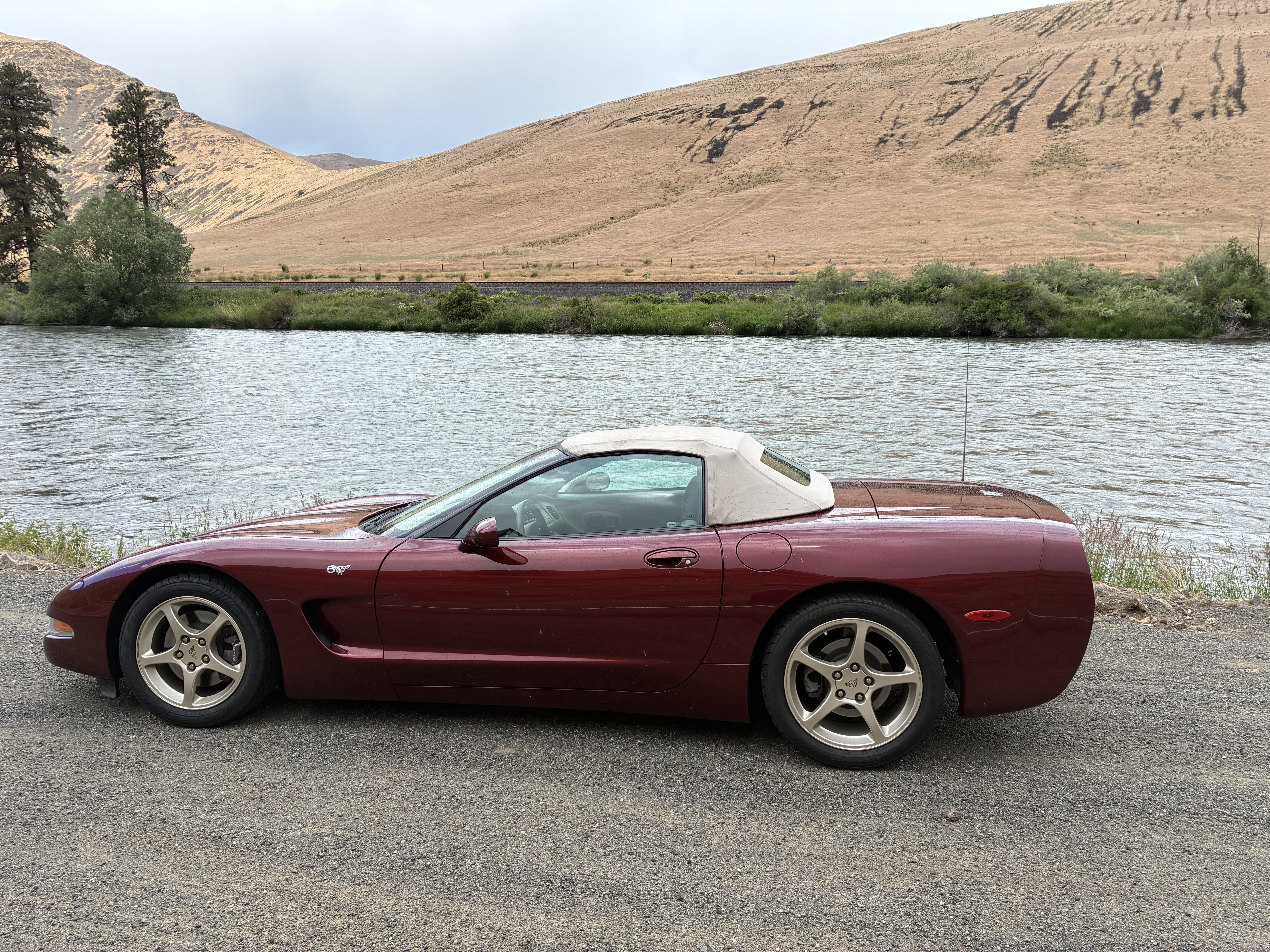 Used 2003 Chevrolet Corvette Convertible w/ Preferred Equipment Group1 RWD image 4