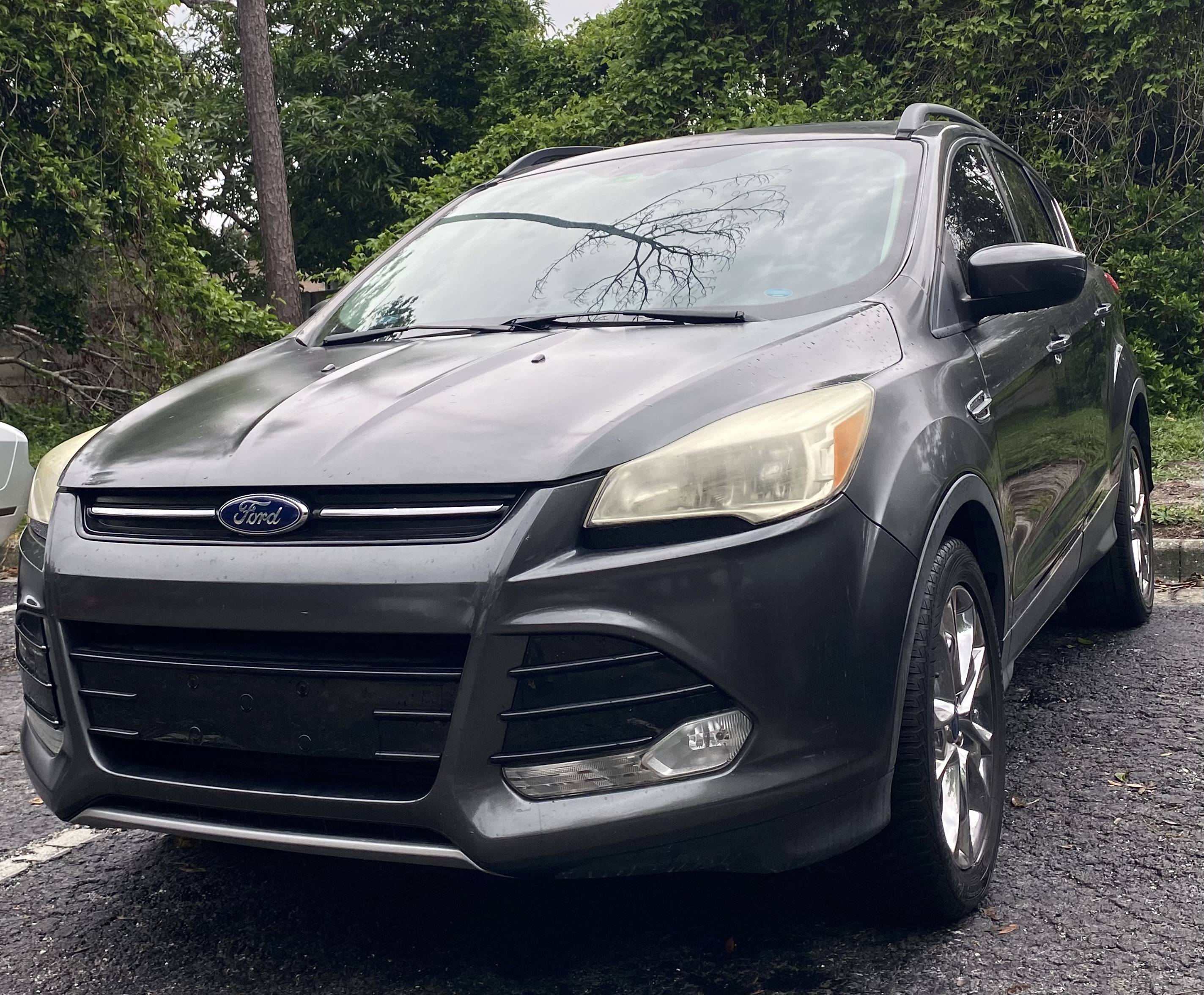 Used 2015 Ford Escape SE w/ Equipment Group 201A AWD/4WD image 1